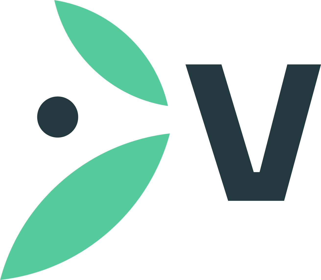 VectorSpring Advisory