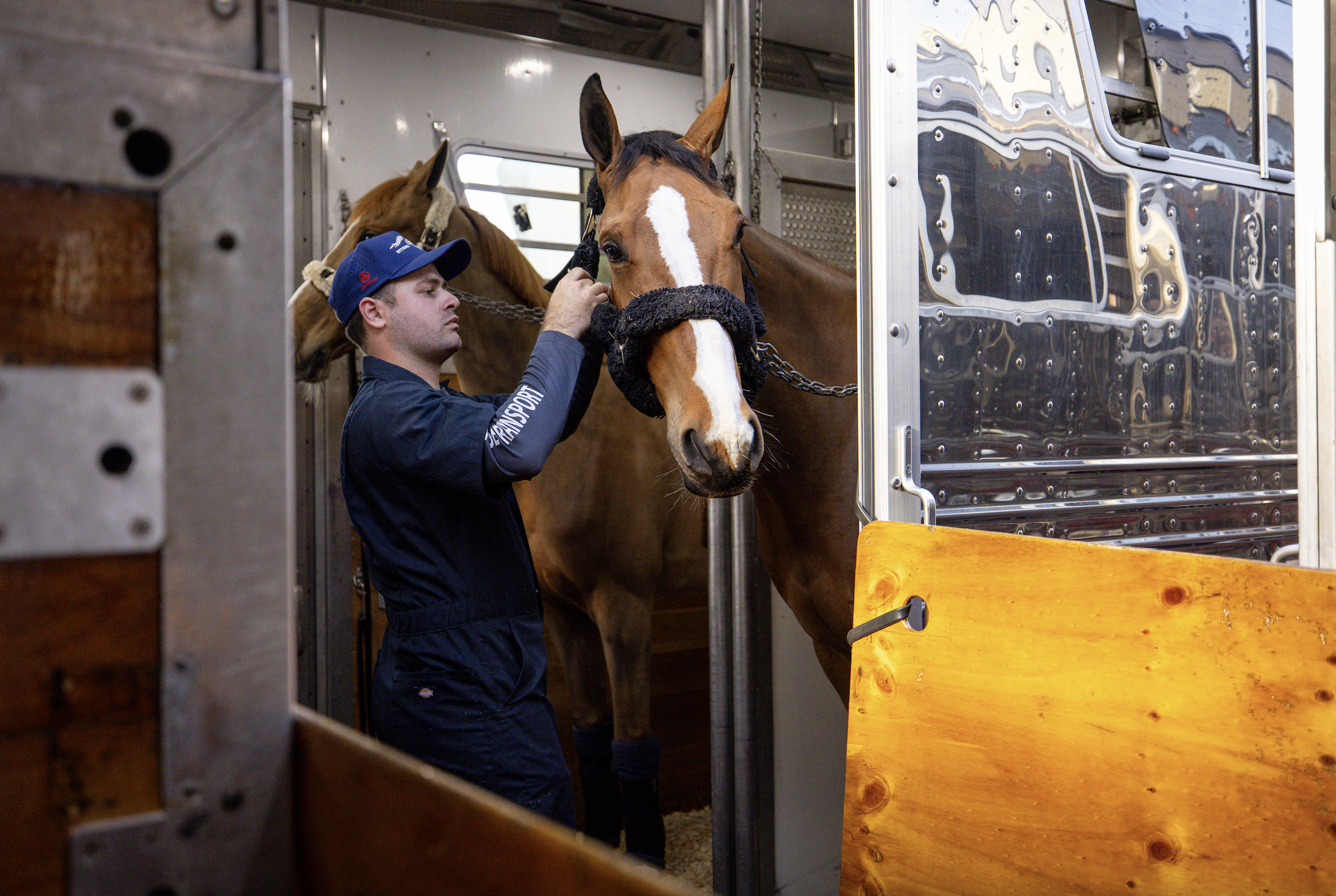 An image of Greenspacing.