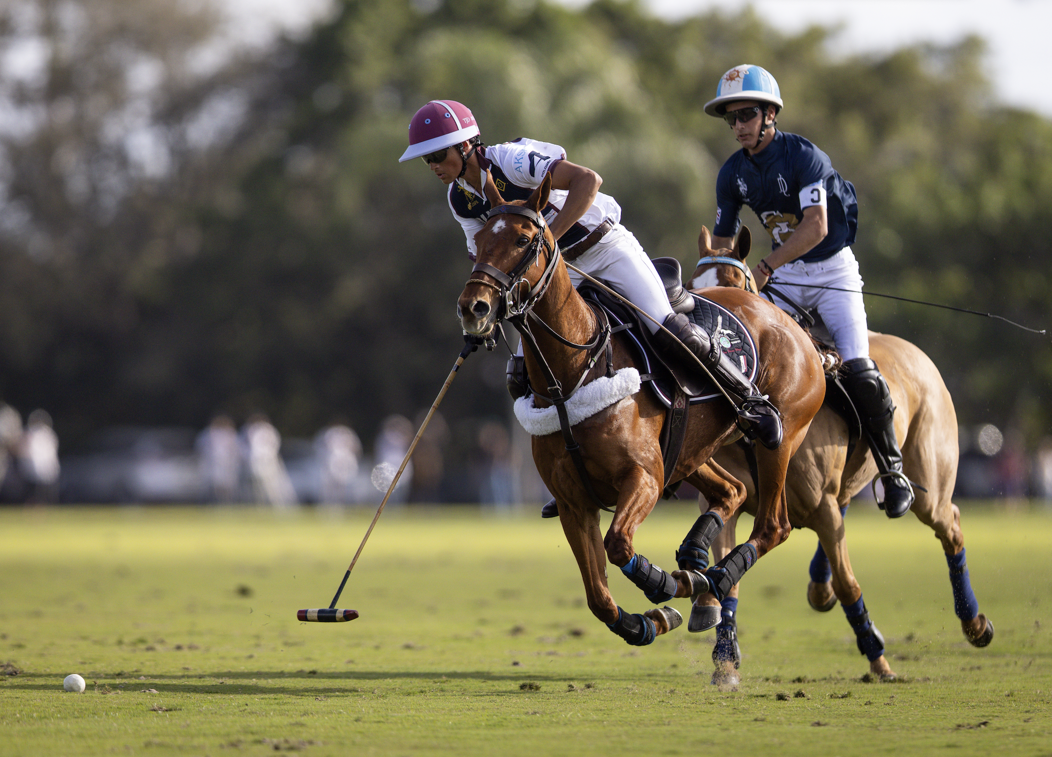 Screenshot 2026-01-20 at 16.26.54.png