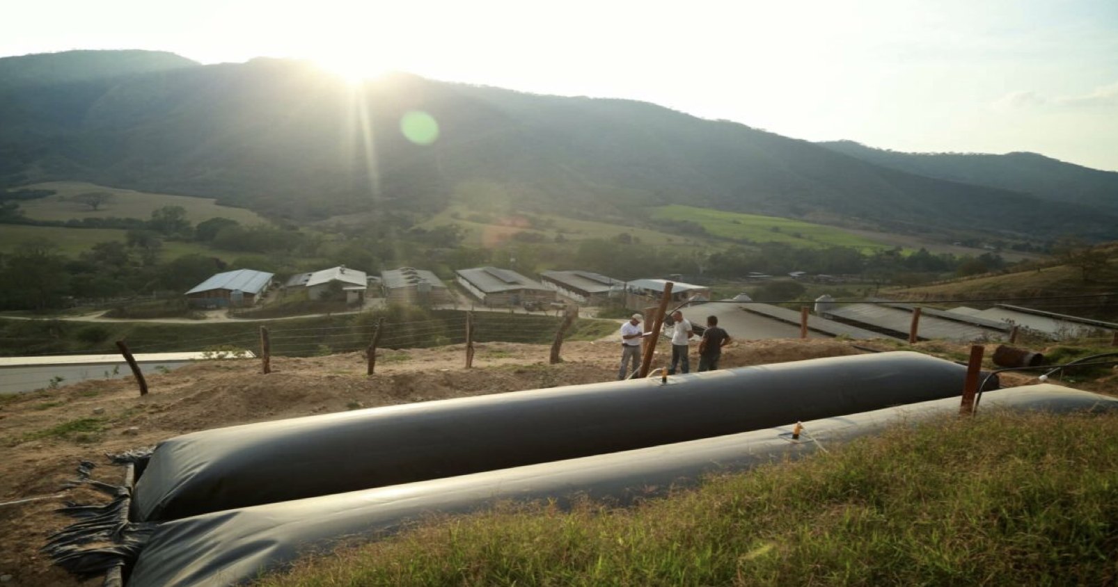 Screenshot 2026-01-20 at 14.35.28.png