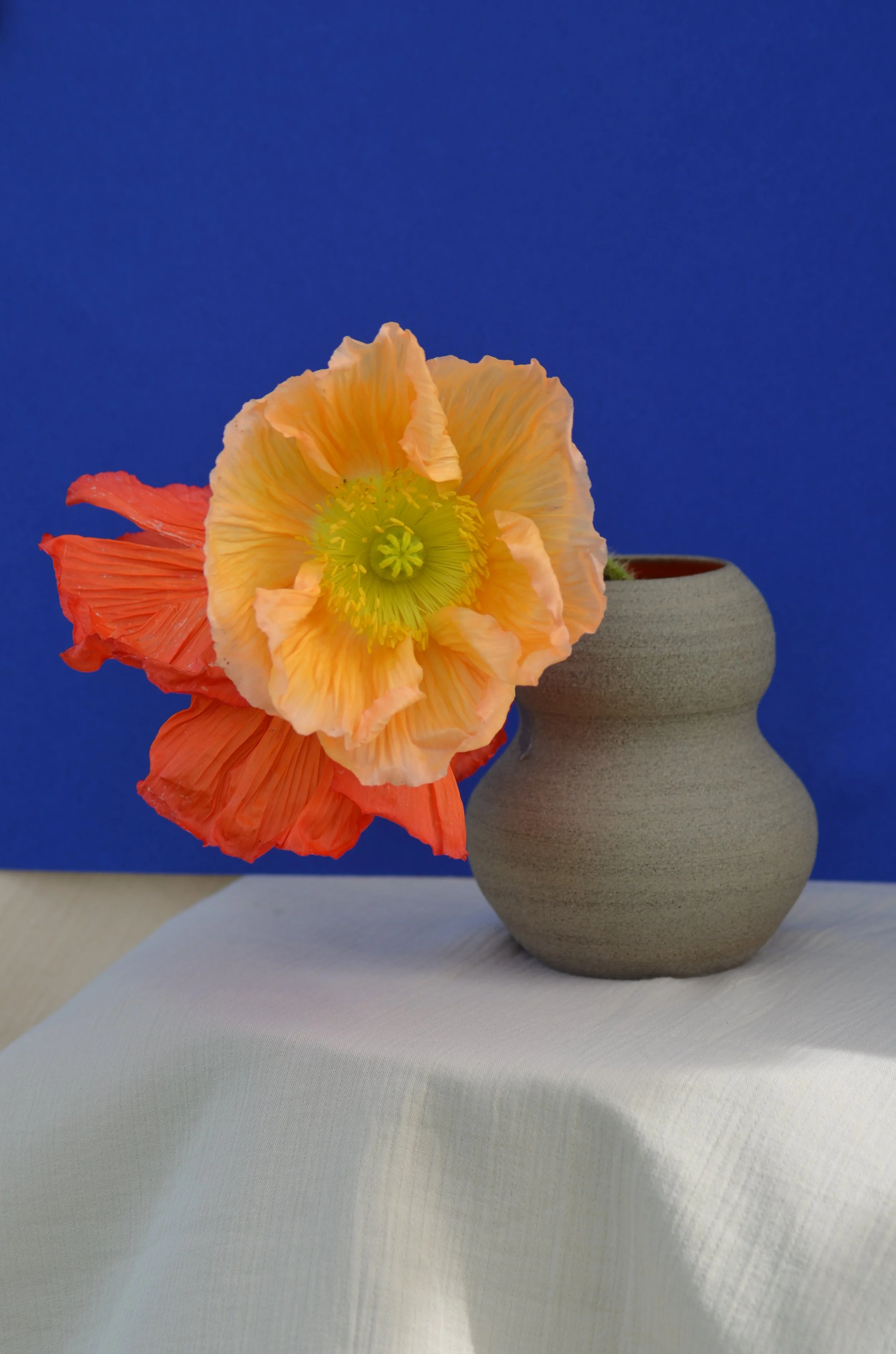 Keramik: Handmade-Unikate aus Ton für deine Blumen