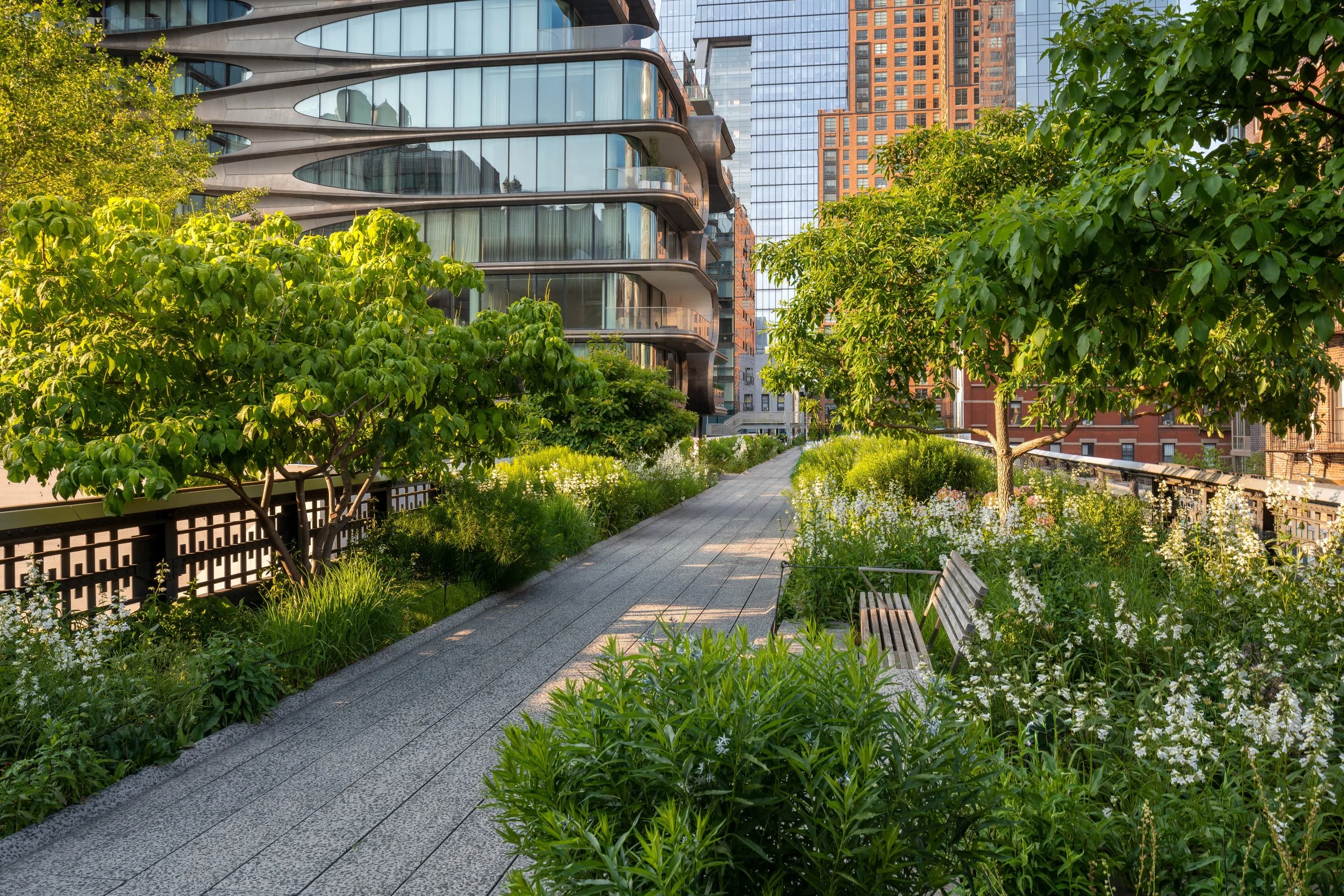 A cityscape with a modern glass building on the left and tall brick buildings in the background. A green space with planted trees, bushes, and a paved pathway runs through the middle, with benches along the path.