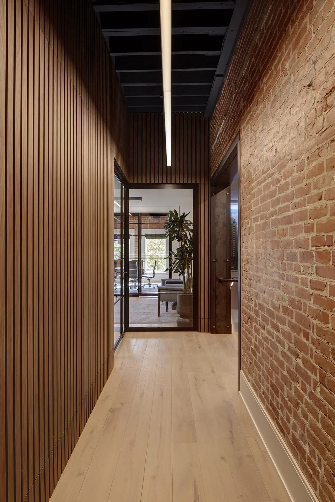 Saroki_MapleWood_11.jpg