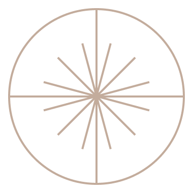 An abstract outline icon with a starburst contained within a circle shape.
