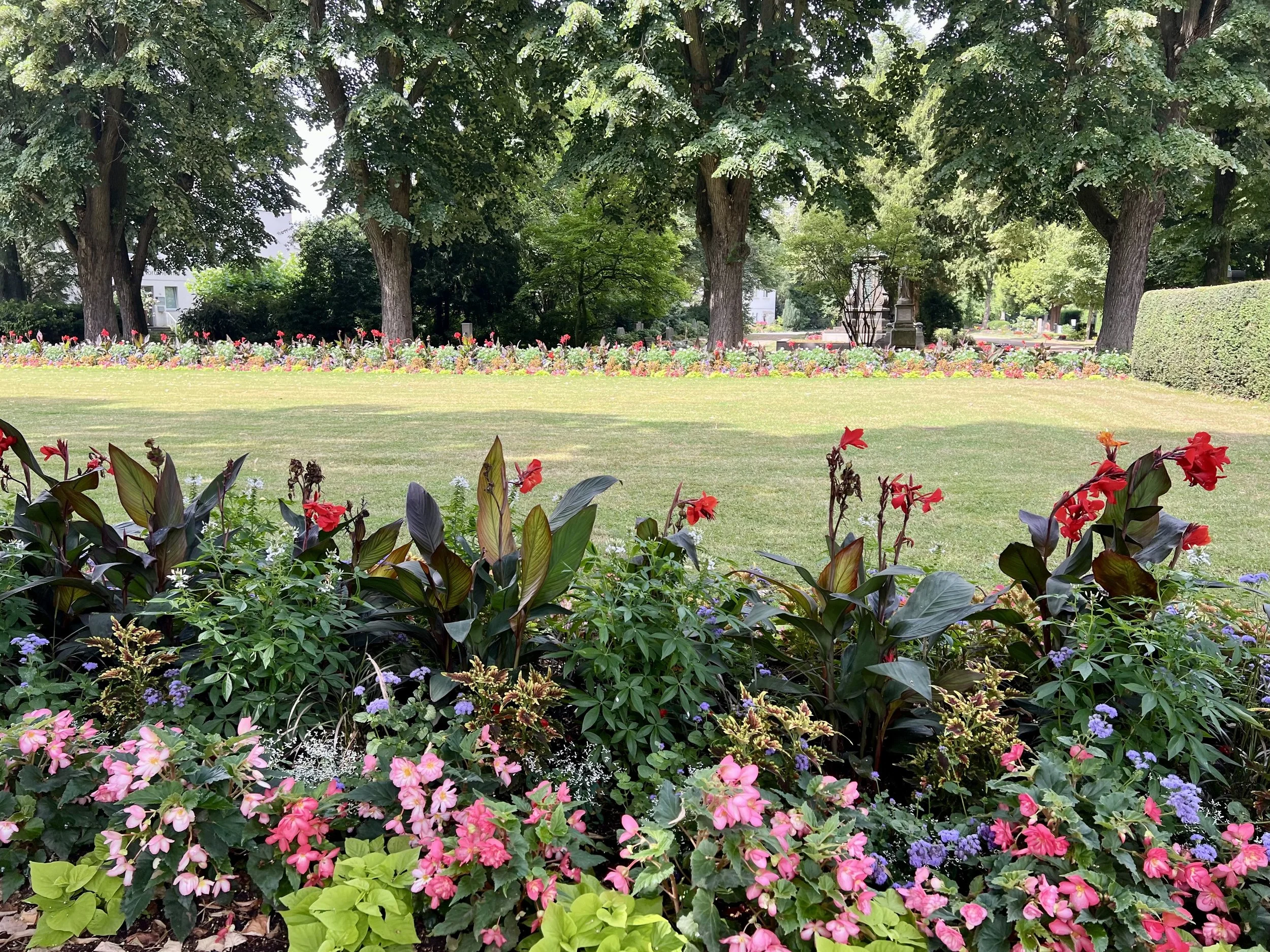 Buntes Blumenbeet im Park mit Bäumen im Hintergrund, grüne Rasenfläche und Sträucher.