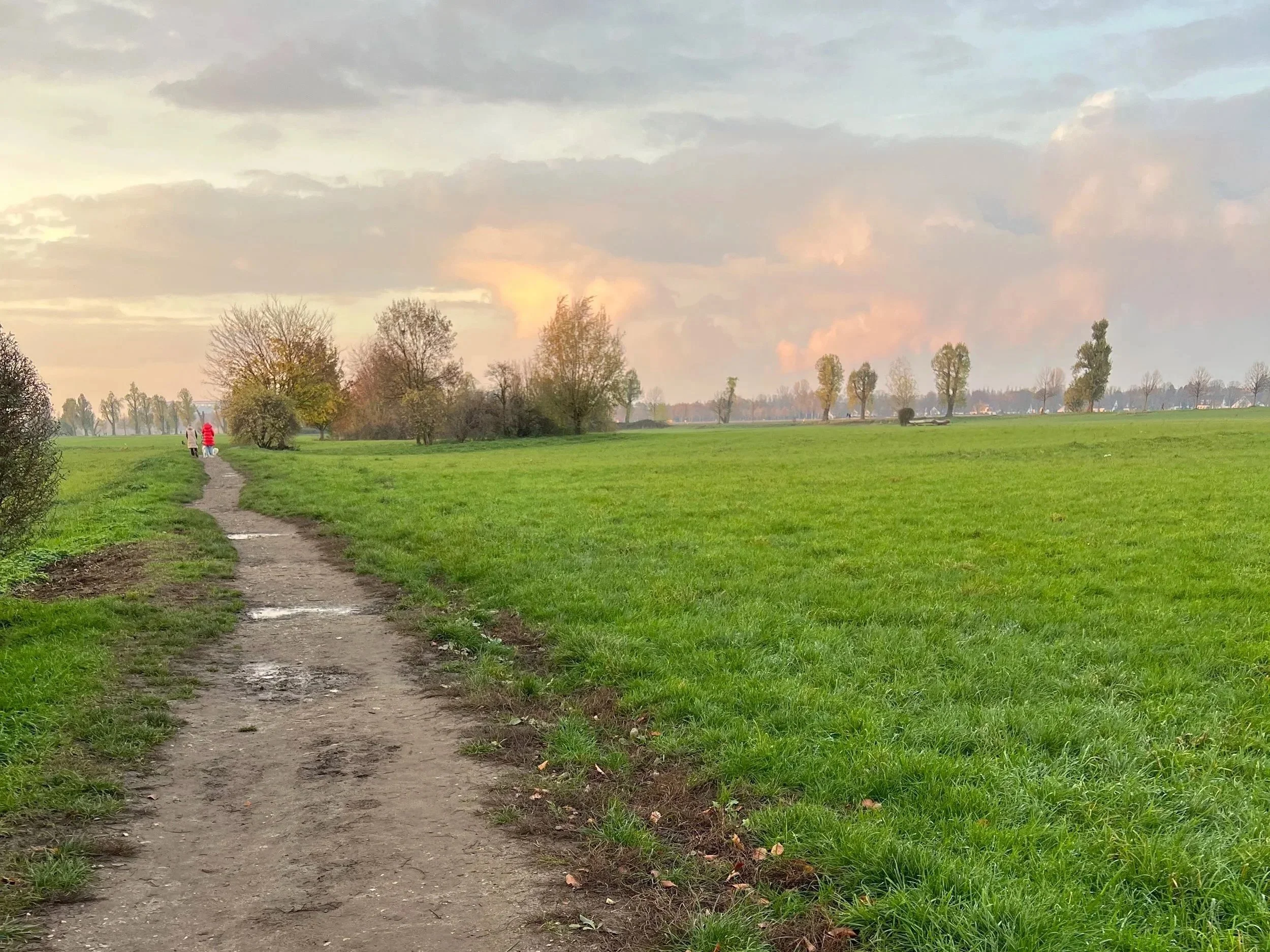 Ein Wanderweg führt durch eine grüne Wiese mit Bäumen im Hintergrund, bei Sonnenuntergang, im Hintergrund sind Wolken am Himmel.