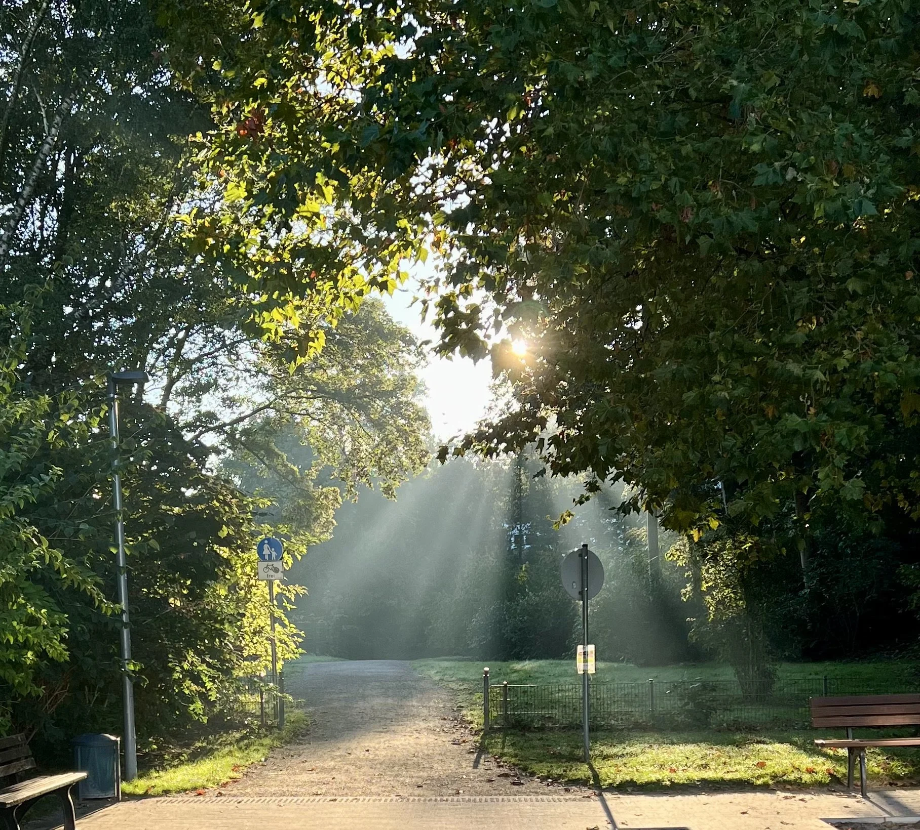Ein ruhiger Spazierweg in einem Park, Sonnenstrahlen durchblenden die Baumblätter, mit Sitzbänken und Schildern am Weg.