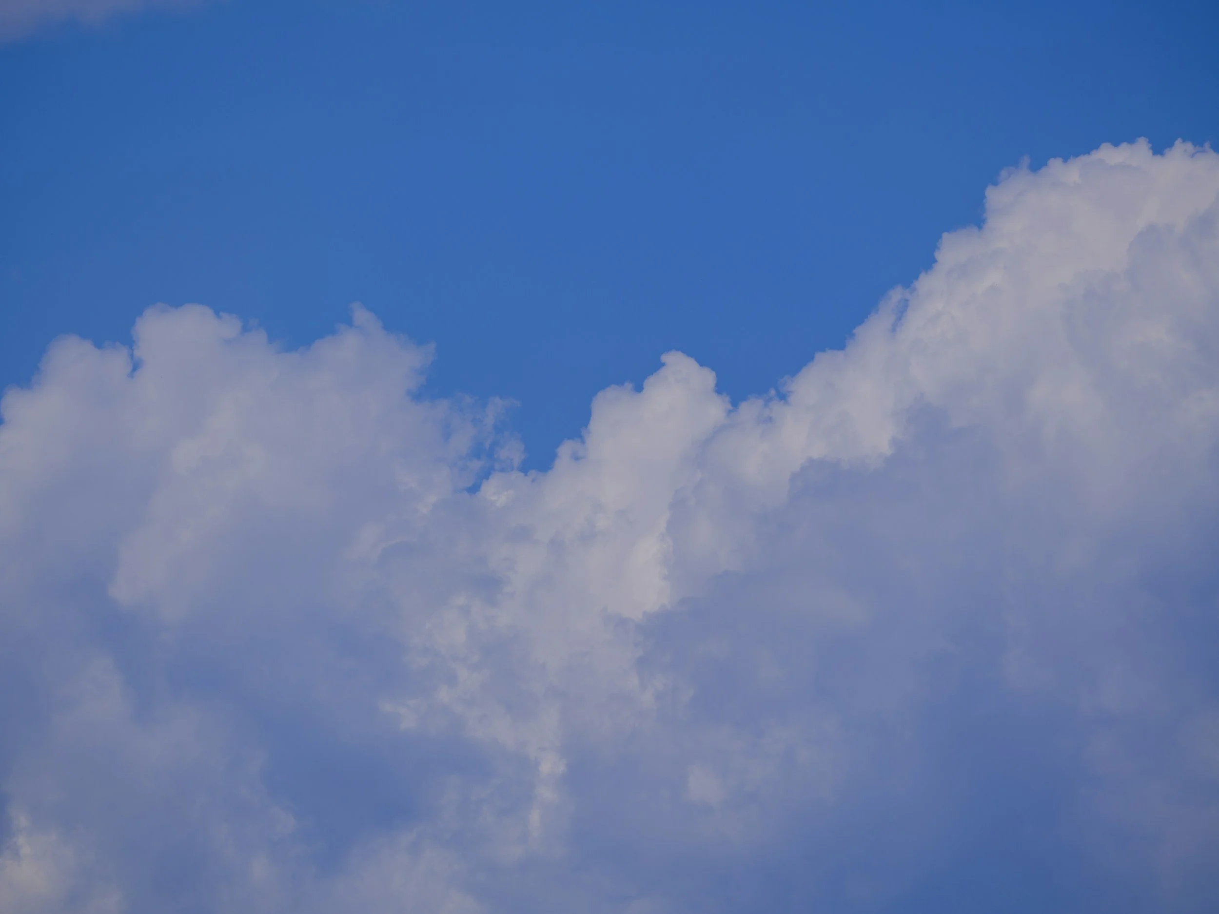 Analiza procentuala a gazelor din atmosfera protectoare (MAP)