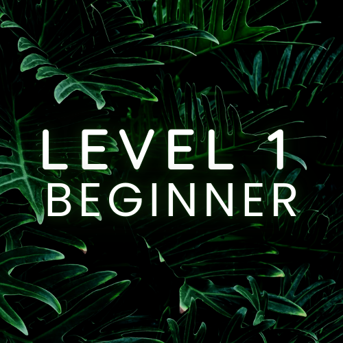 Green tropical leaves with white text reading 'Level 1 Beginner'