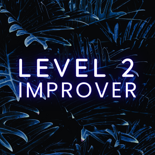 Neon sign reading "Level 2 Improver" against a dark background with tropical leaves.