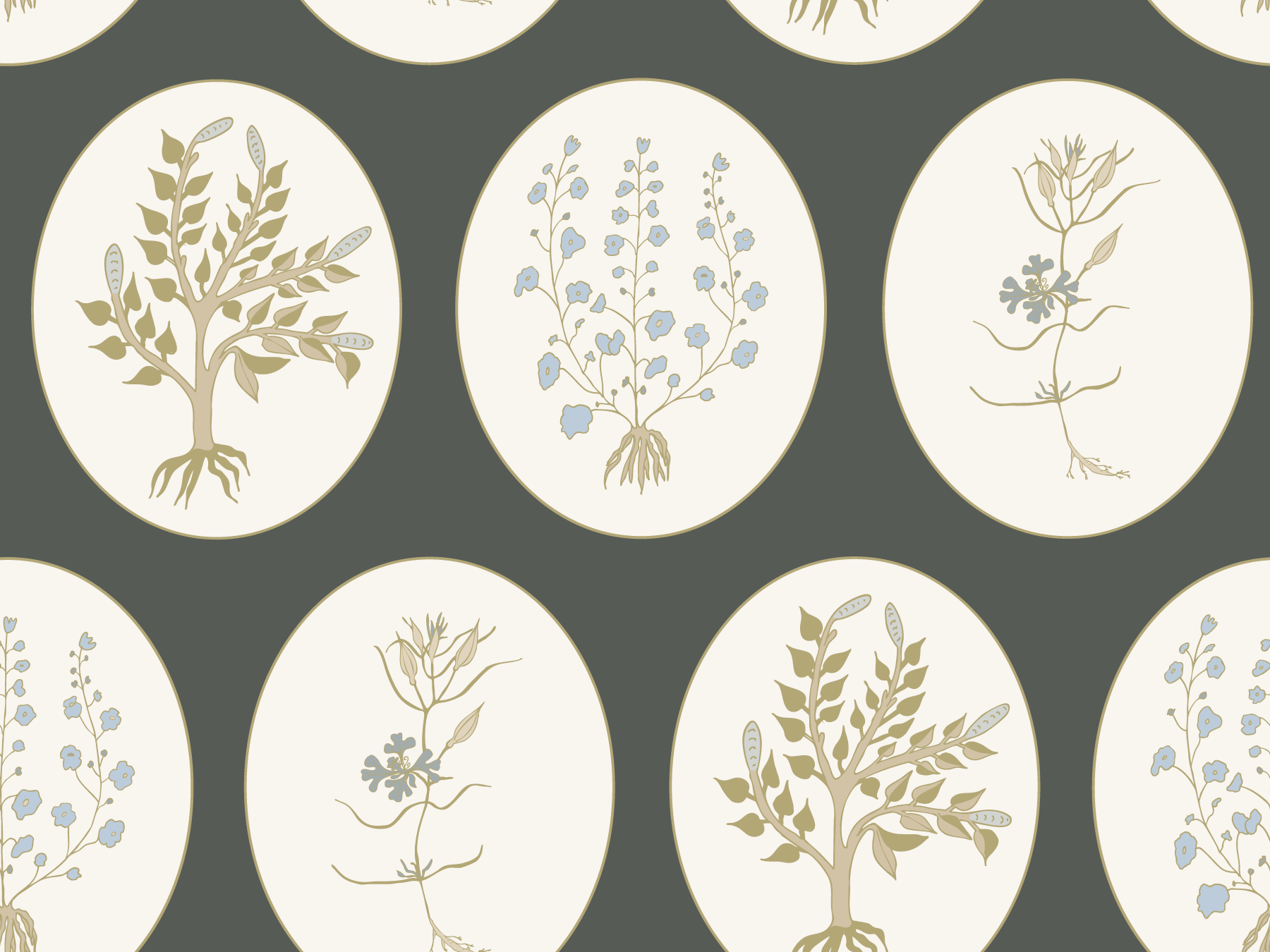 Oval Herbarium Charcoal