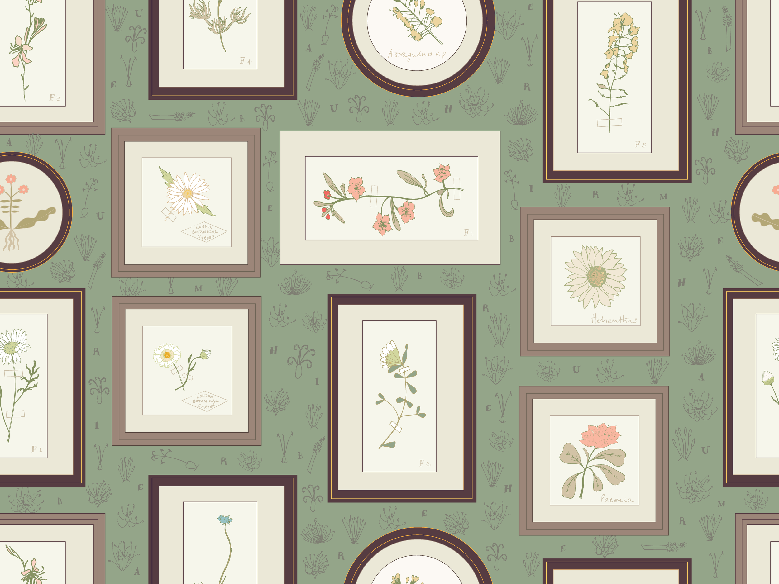 Plant Explorer Green