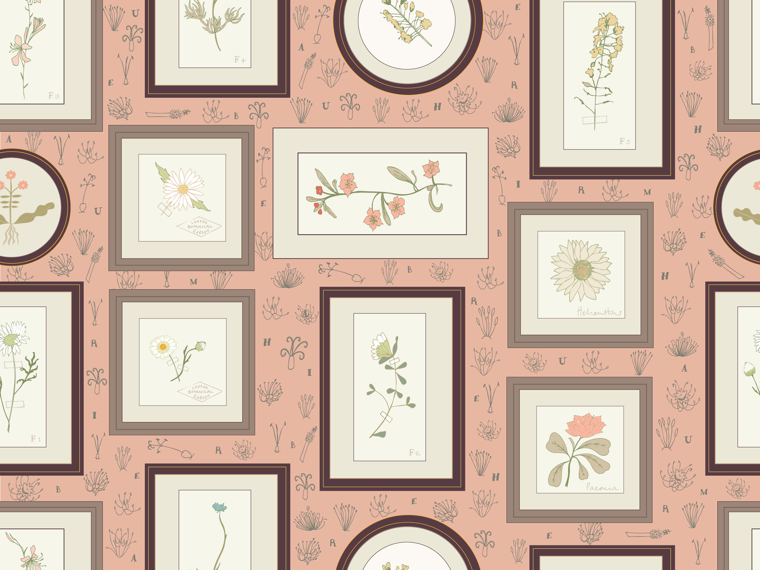 Plant Explorer Tea Rose