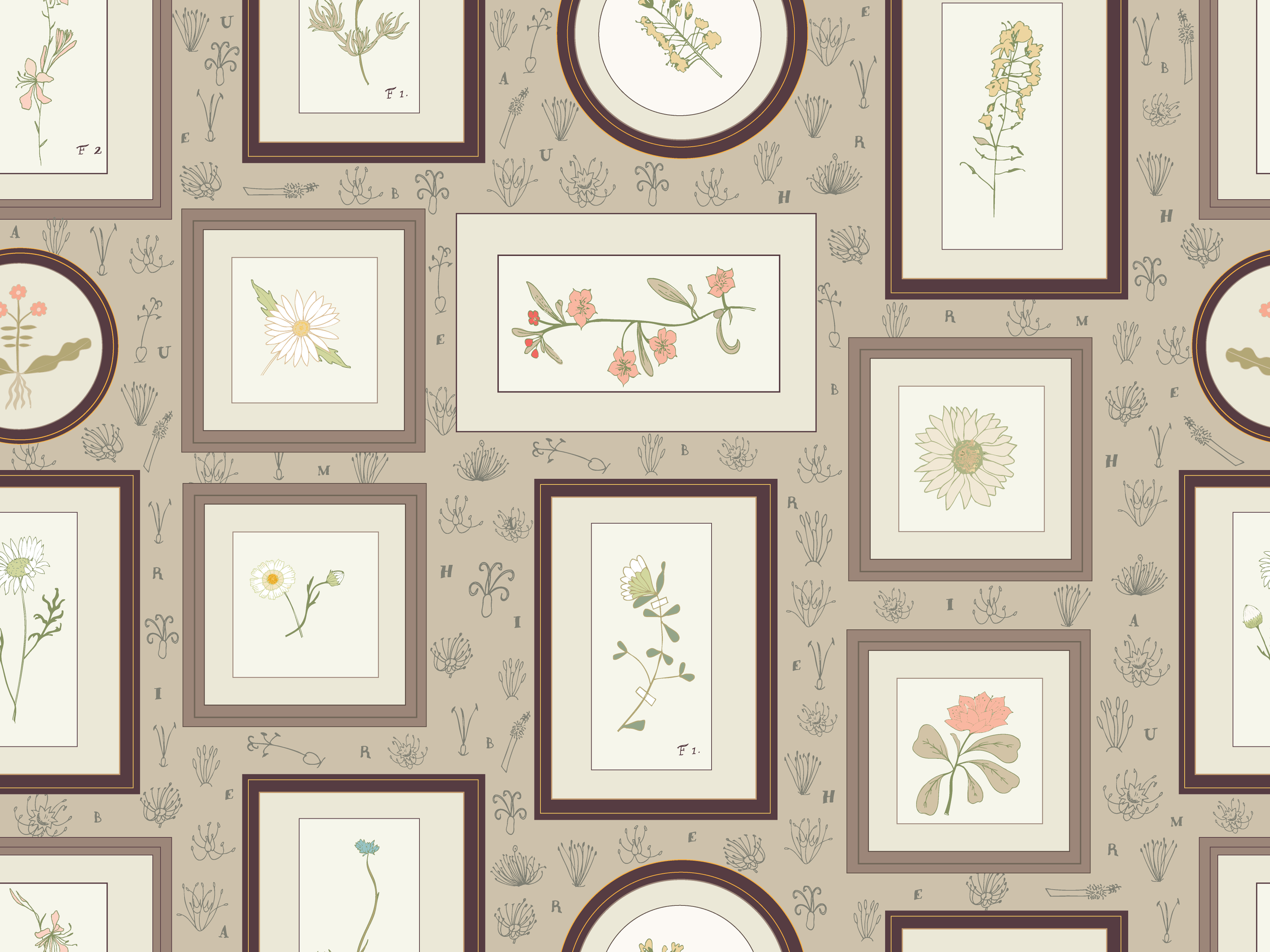 Plant Explorer Earl Grey