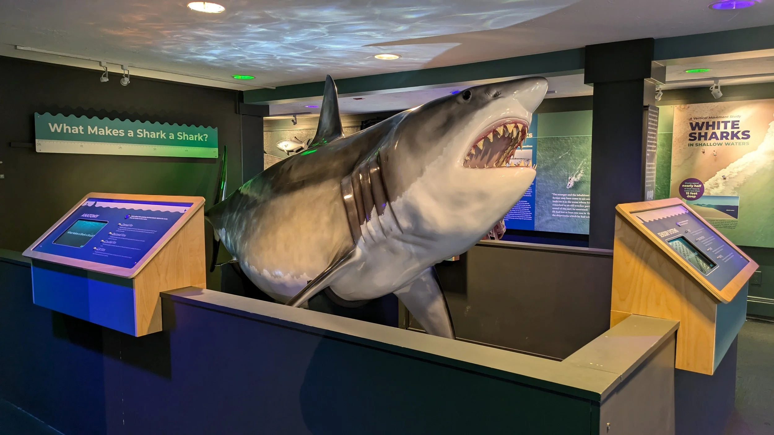 AWSC Museum in Provincetown, MA, Cape Cod