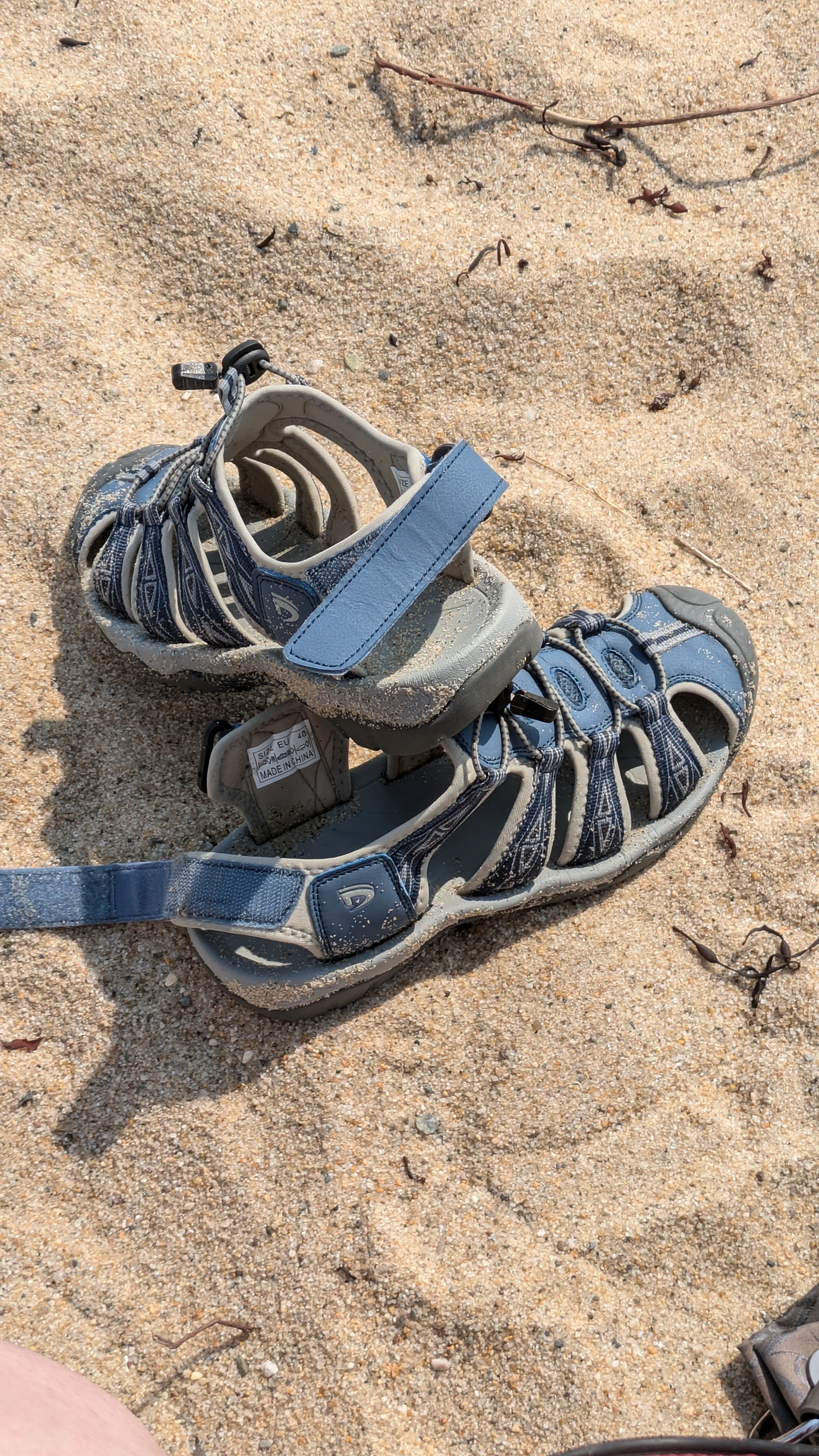 Exploring the Beaches of Cape Cod