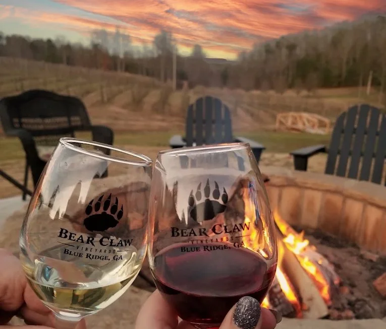 Toasting wine glasses at bear claw vineyards in blue ridge, georgia
