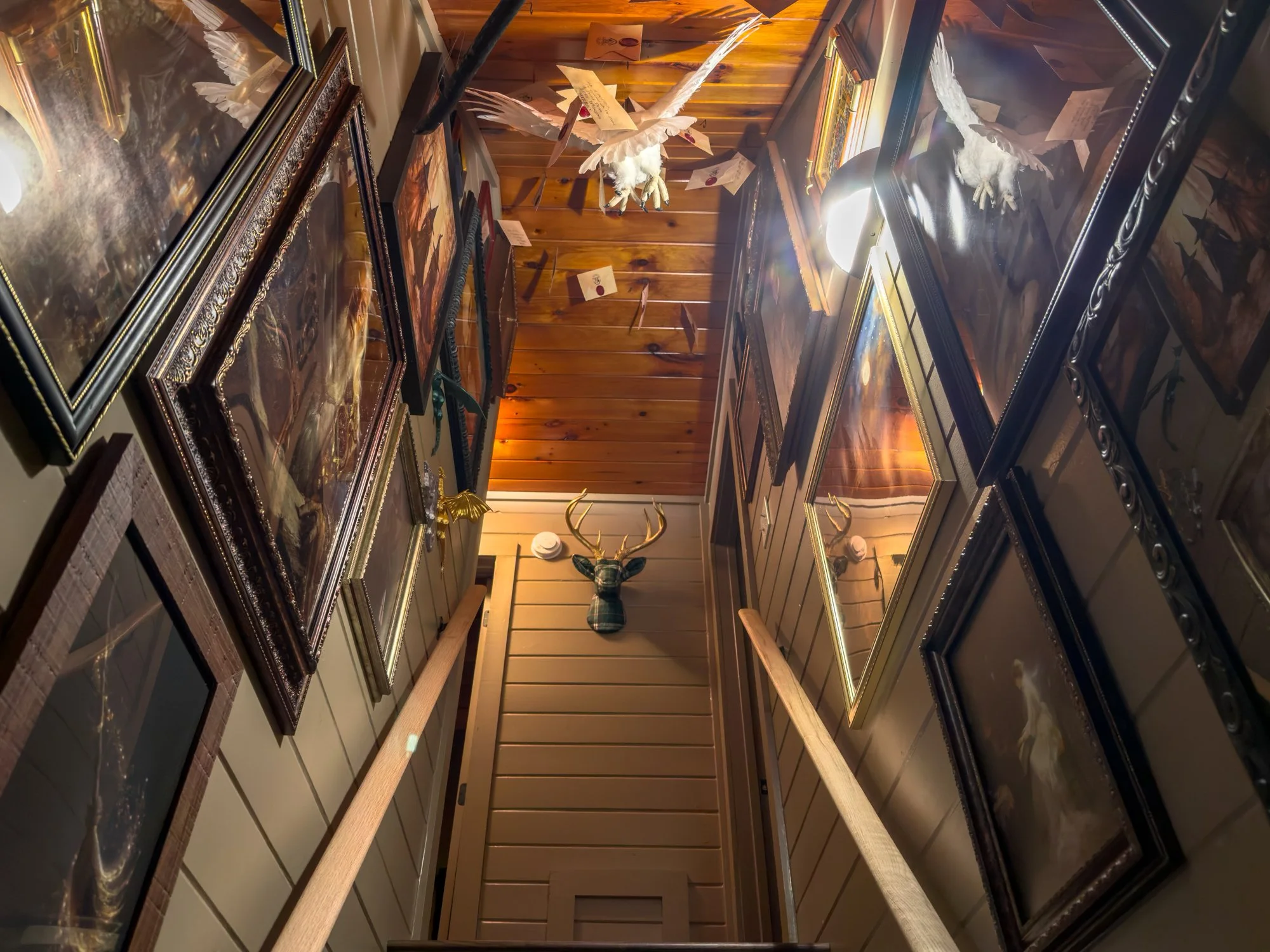 Staircase view from the bottom at the harry potter themed airbnb