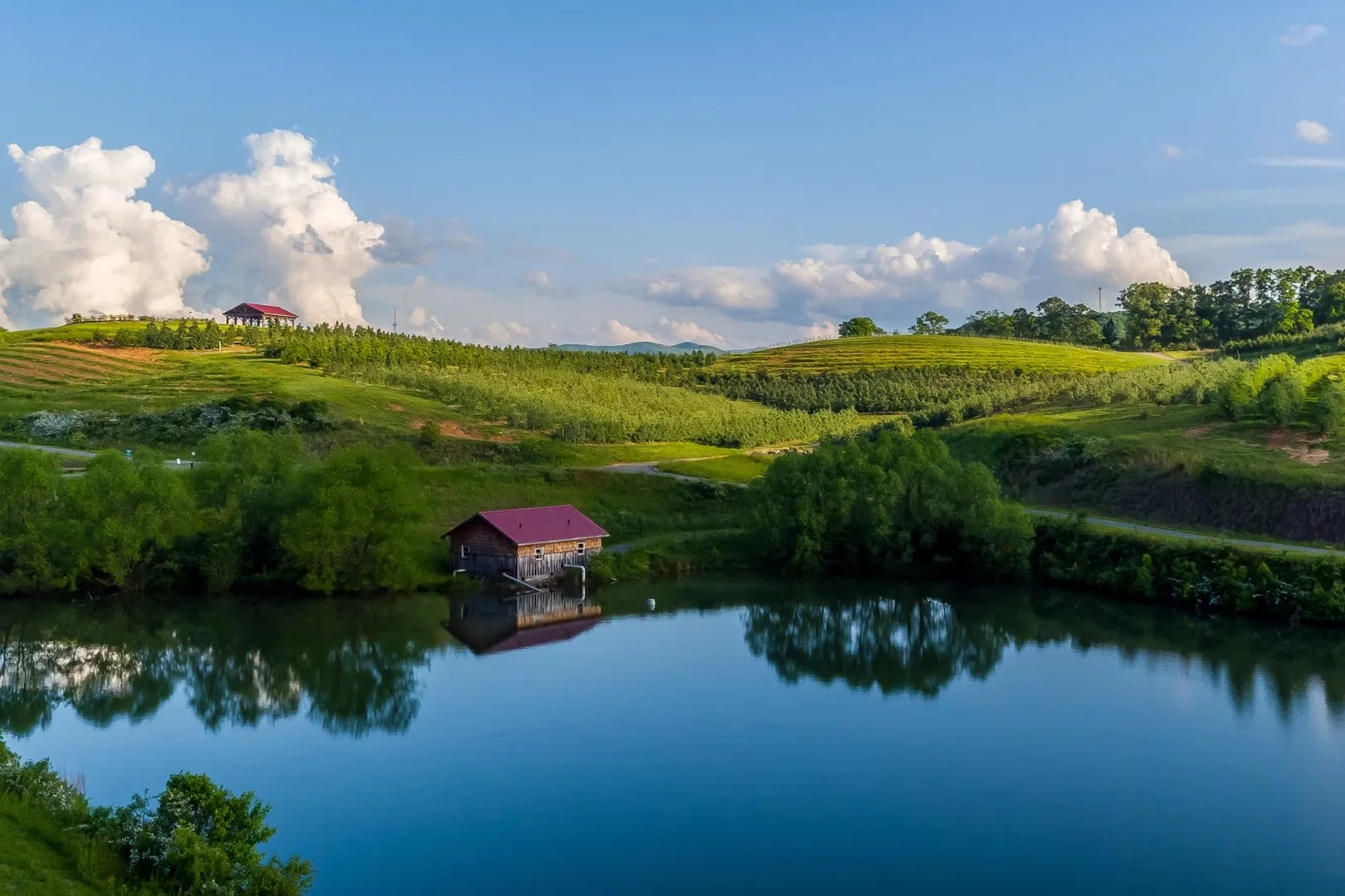 Overlooking the pond at Mercier Orchards in Blue Ridge, Georgia