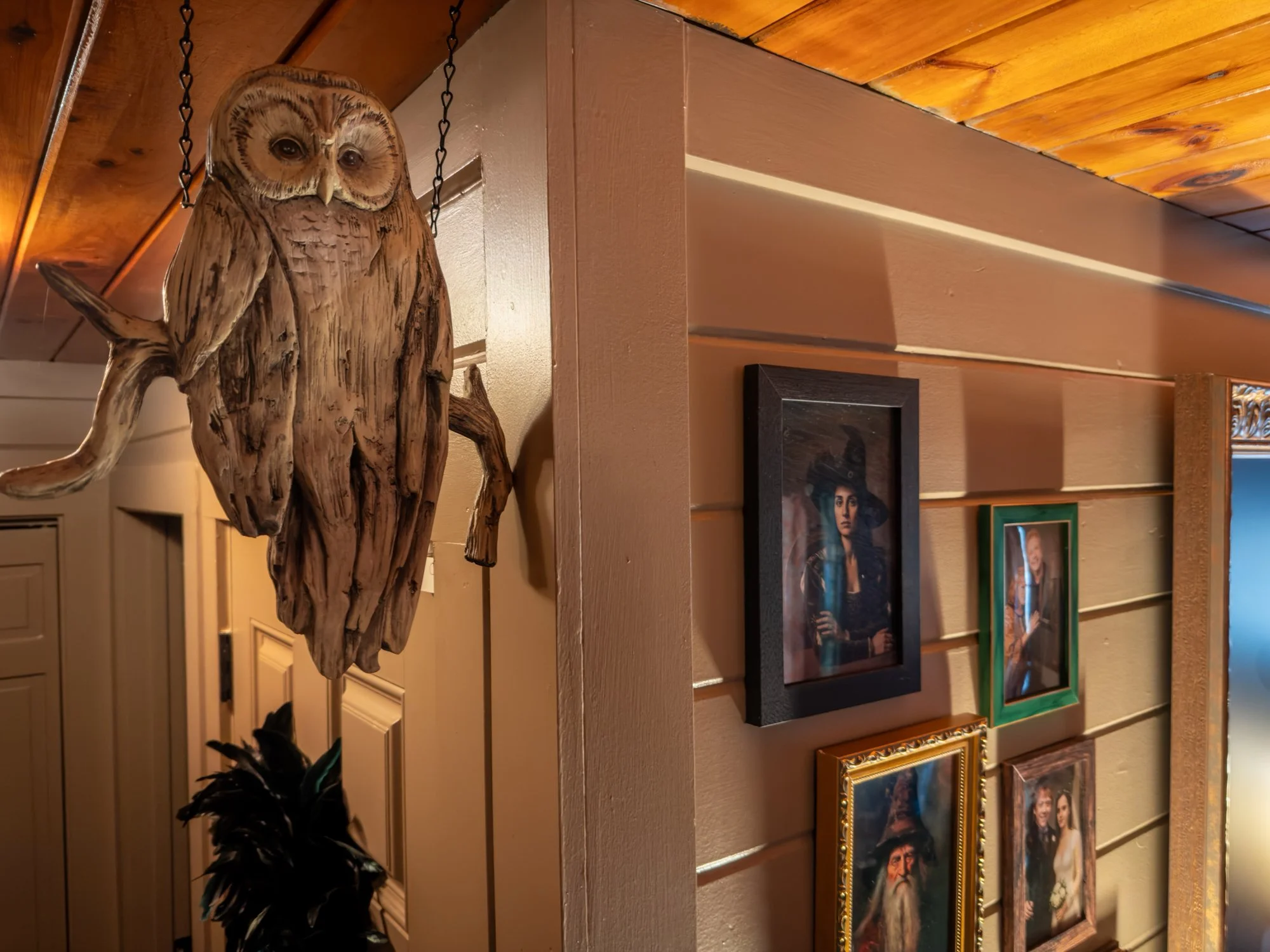 Some harry potter owl decor in the living room