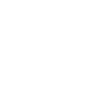 Mano sosteniendo una planta joven