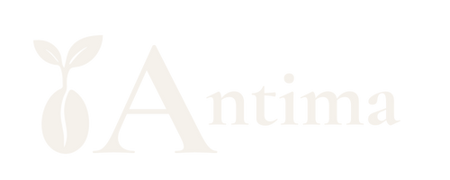 Antima