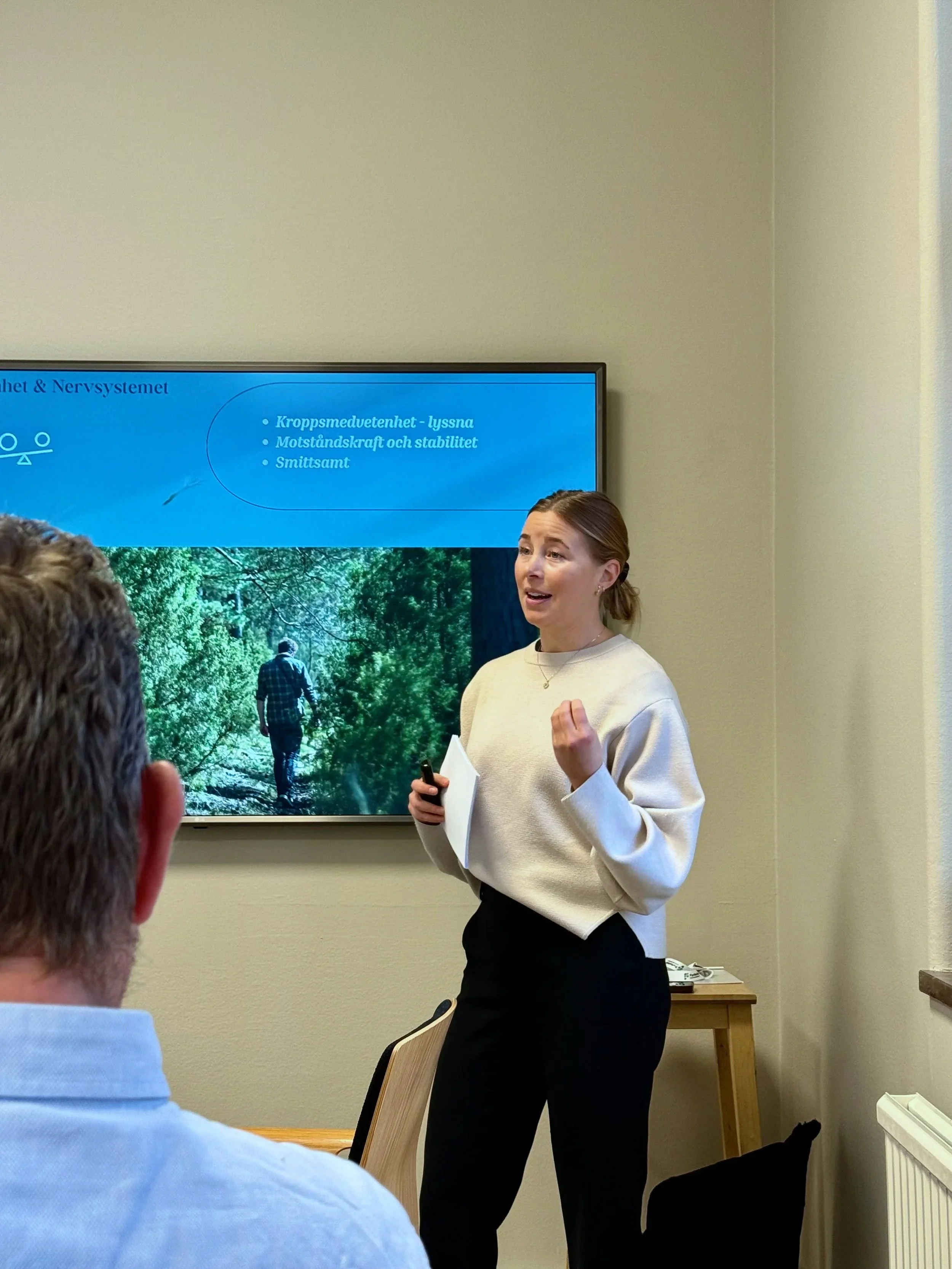 Workshop för organisationer som vill förebygga stress, stärka arbetsmiljön och skapa hållbara team