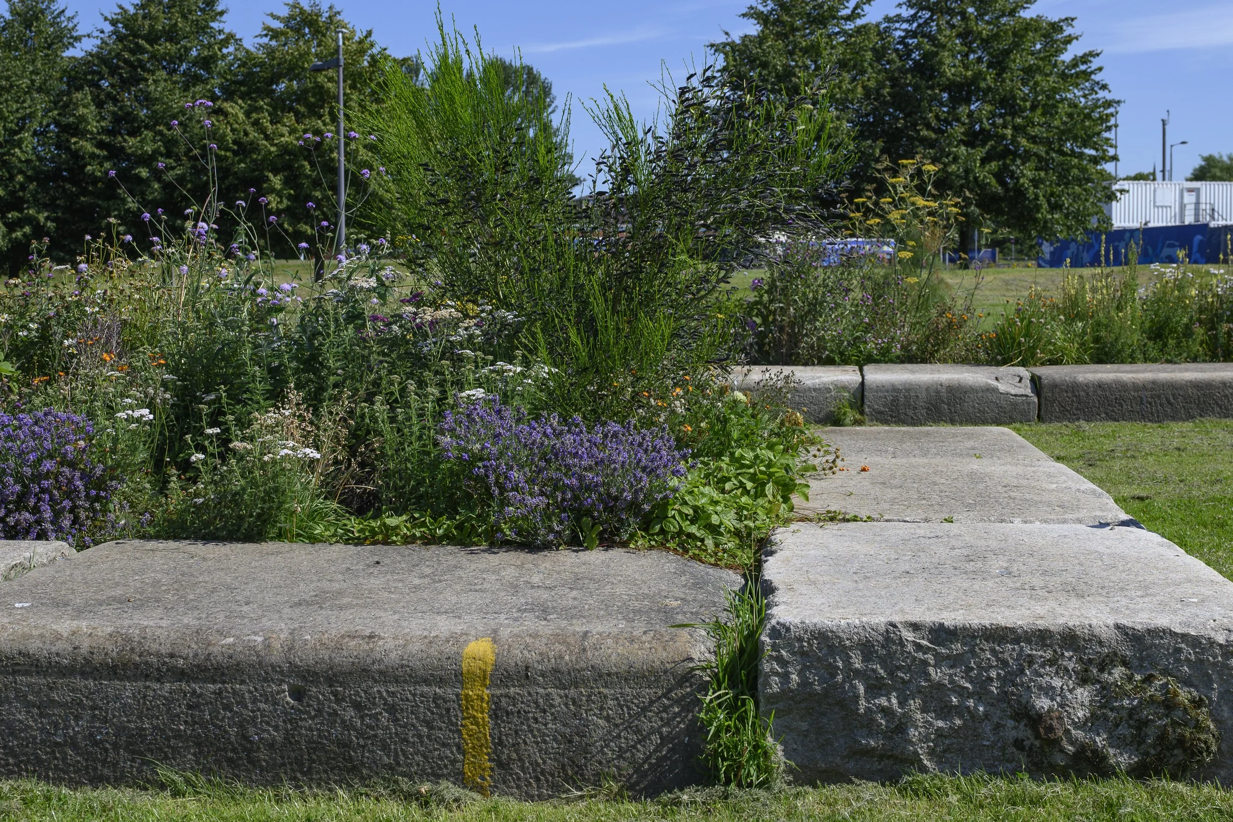 CLYDESIDE GARDEN 07.jpg