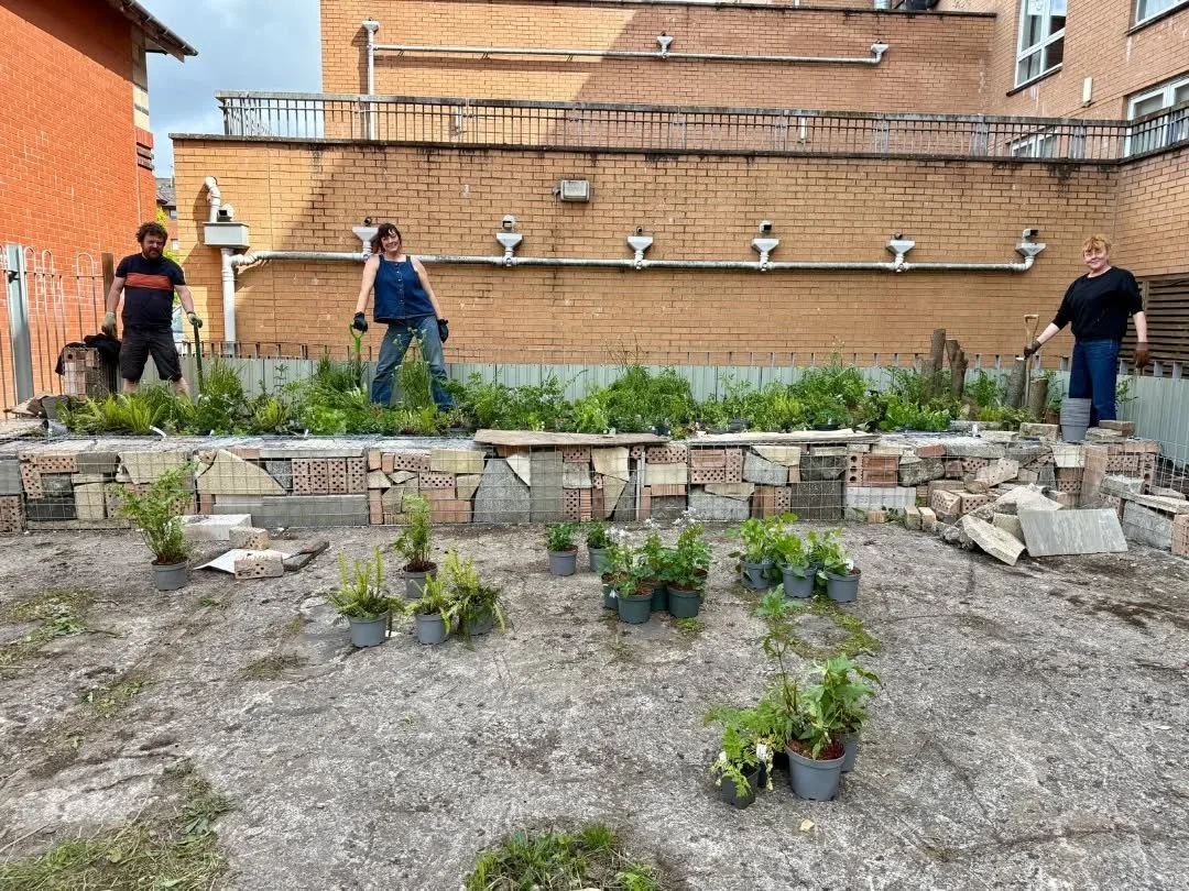 PLANTING UP!
Finally got plants in the ground yesterday in the new community garden space we're creating for @partickha 

It's a tricky site! 

* Difficult to access, requiring 10 tonnes of substrate and 1000s of bricks to be transported by hand/whee