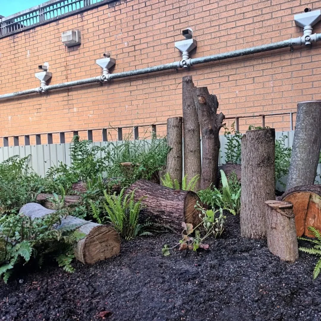 These two pics are AFTER and BEFORE of pretty much the same place in the community garden we're creating for @partickha 

The project is still a work in progress, but it is so good to be able to reflect on the work we've done to get to this point. 

