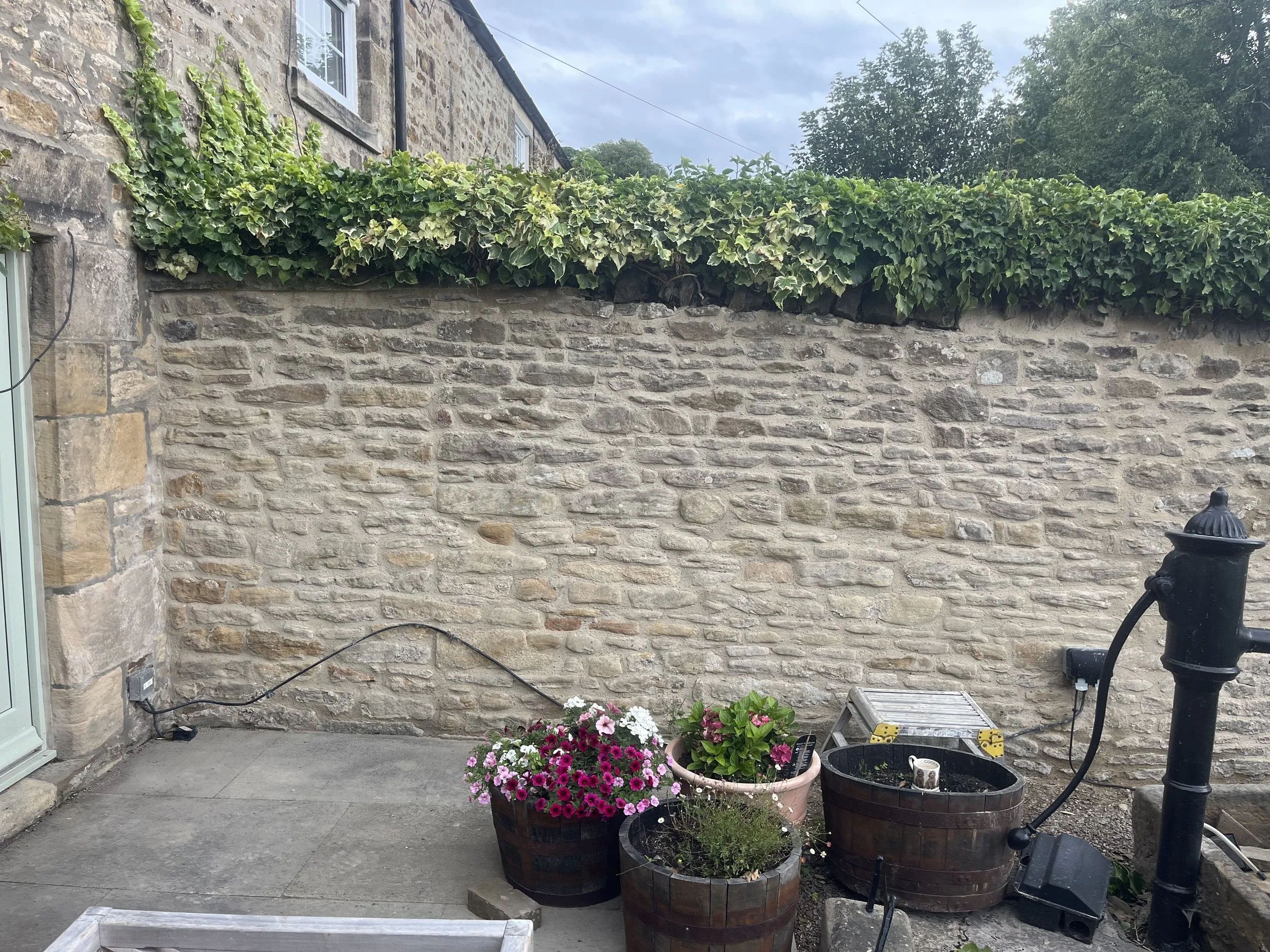 A freshly repointed, stone garden wall in Corbridge, Northumberland. Ivy covers the capstones which was removed during an additional phase of work to finish repointing the wall beautifully.