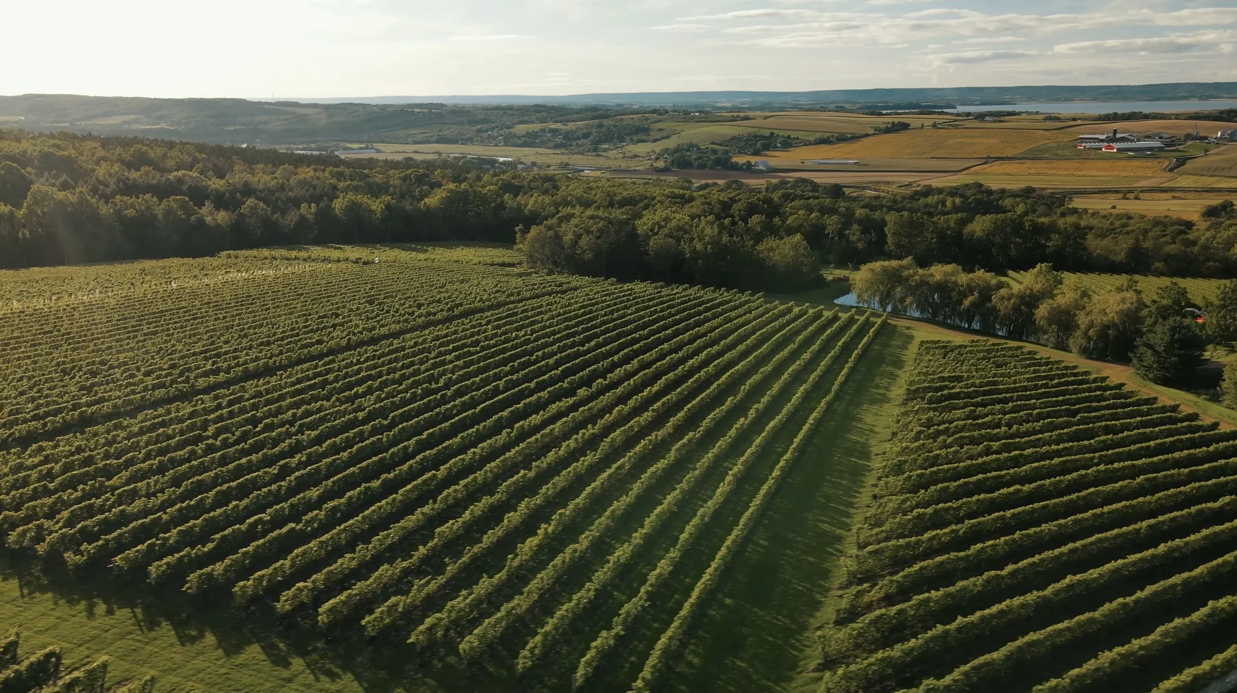 Wine Growers Association of NS | Tidal Bay