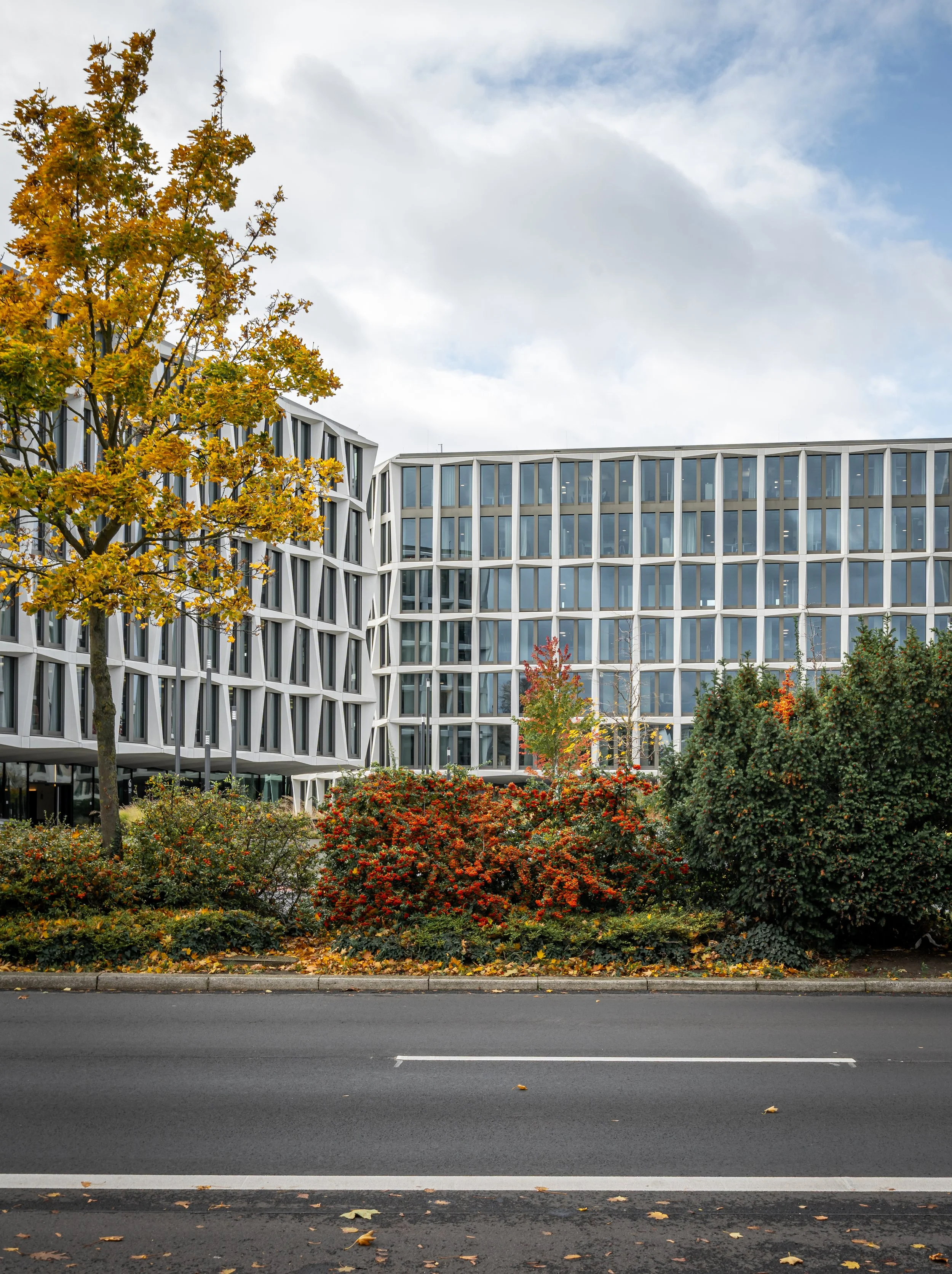 Blick auf moderne Bürogebäude mit großen Fenstern und buntem Herbstlaub im Vordergrund, Straße im Vordergrund mit weißen Markierungen.
