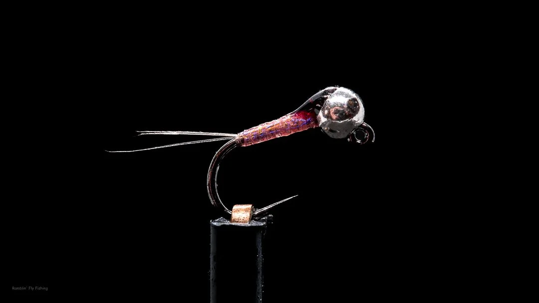 Close-up of a fishing fly with a metallic head and purple body, mounted on a black stand against a black background.