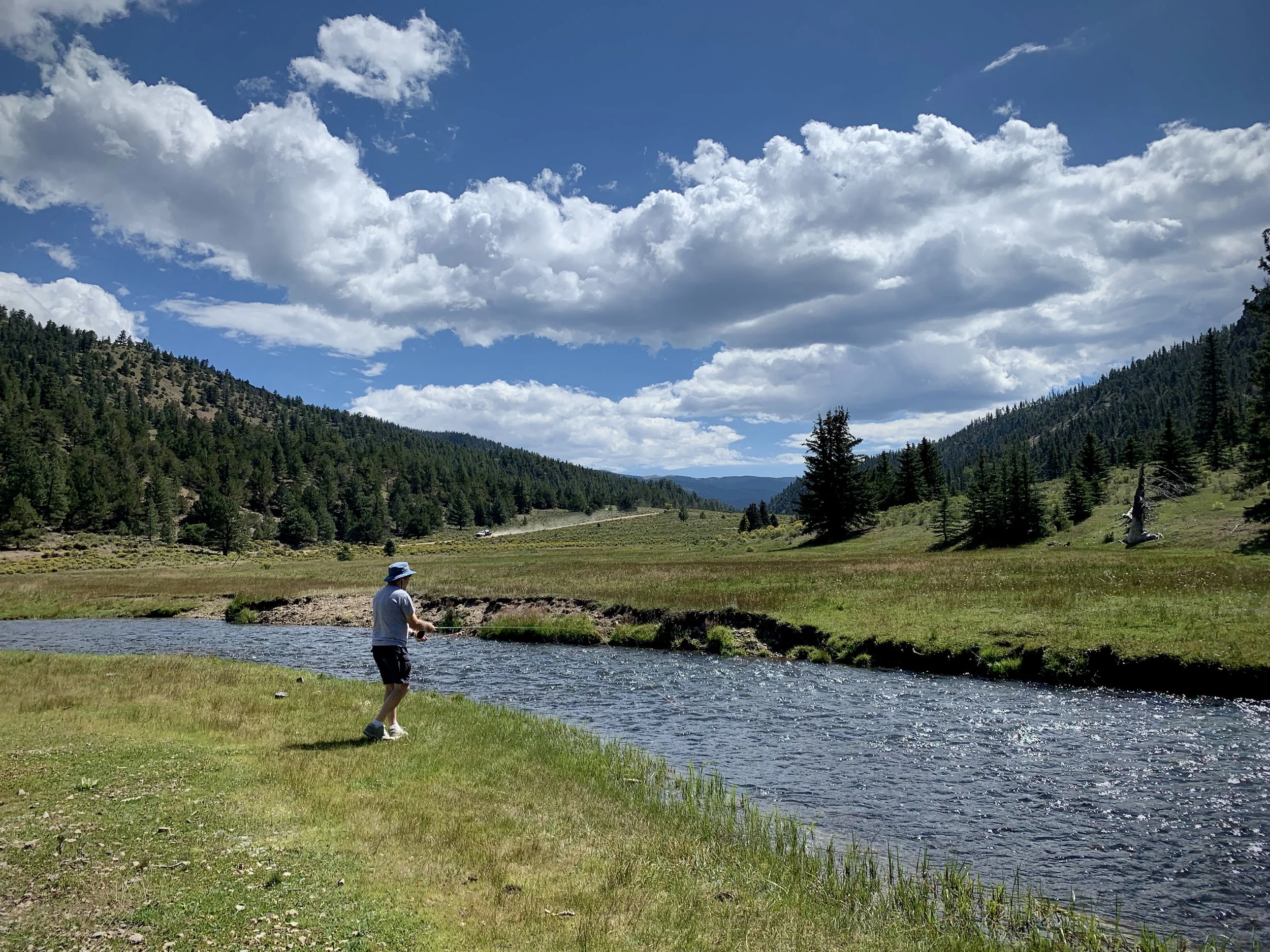Person in a hat fishing in a river in a grassy valley surrounded by forested mountains under a partly cloudy sky.