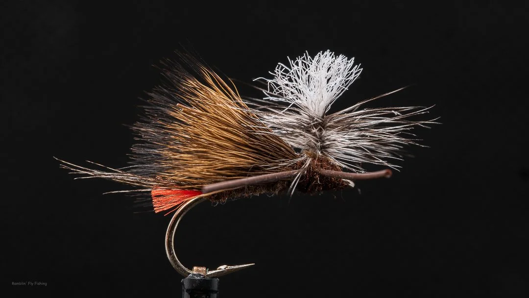 Close-up of a fishing fly with brown, white, and red feathers and a metal hook, against a black background.