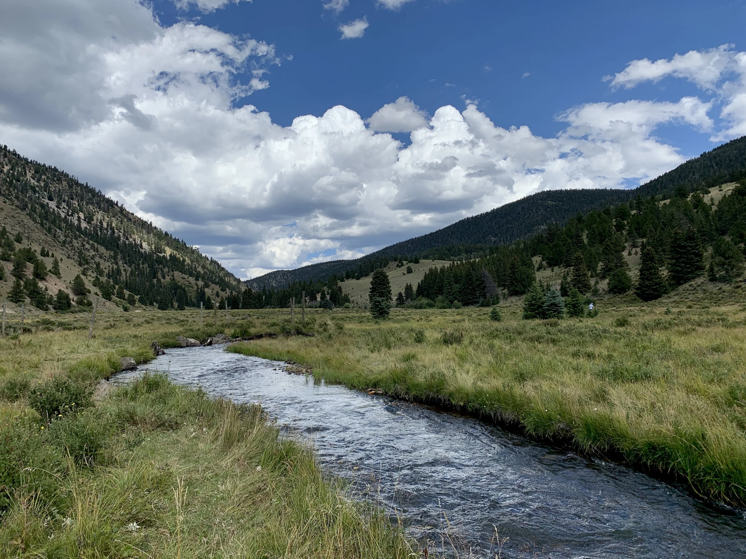 A scenic view of a mountain valley with a small stream flowing through grassy meadows, surrounded by forested hills and topped by a partly cloudy blue sky.