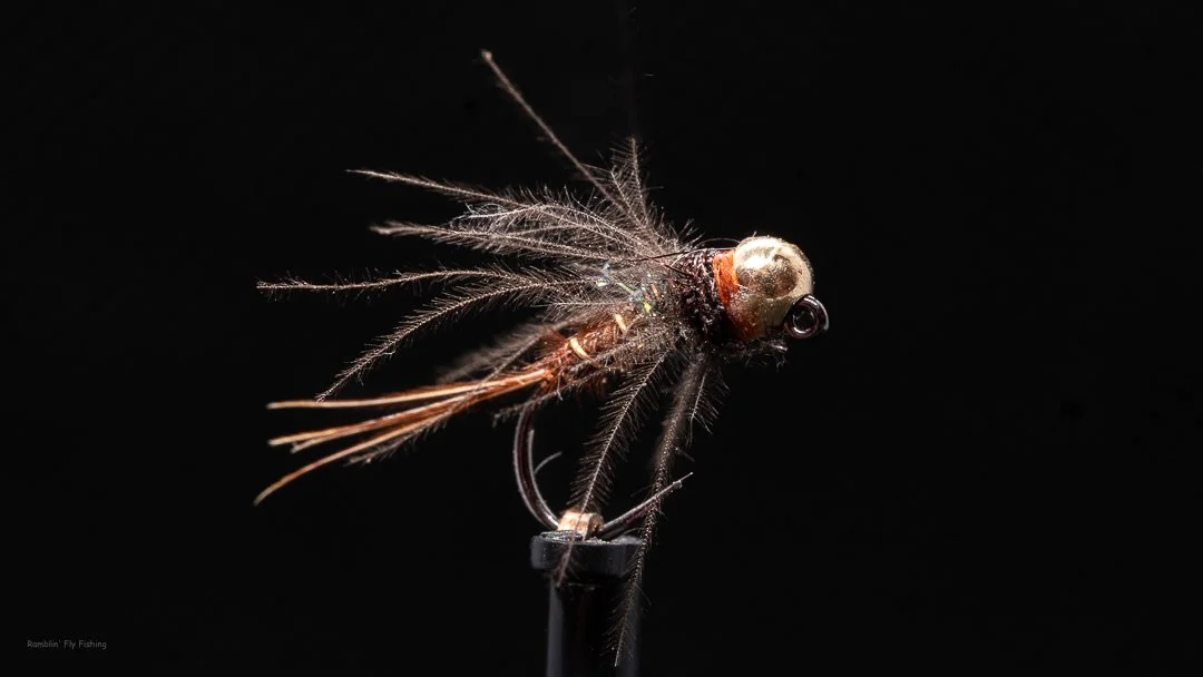 Close-up of a fly fishing lure resembling a small insect with fuzzy body, feathered wings, and a hook, displayed against a black background