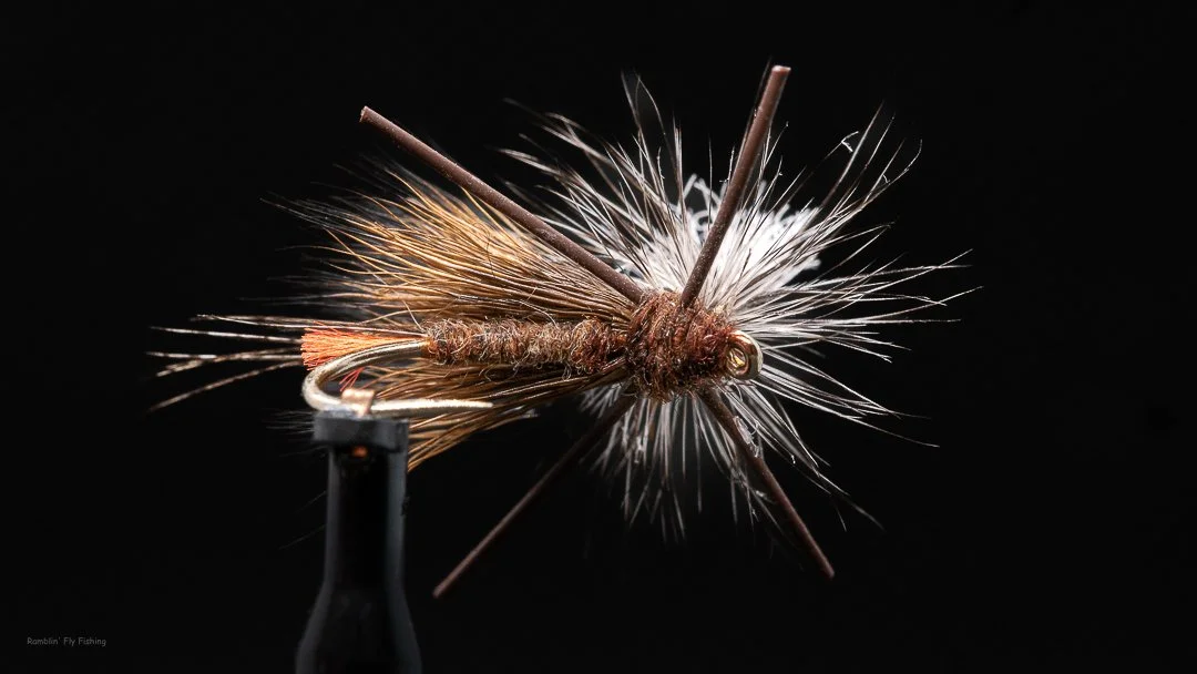 Close-up of a fishing fly designed to resemble a small insect, with brown and white feathers and a hook, against a black background.