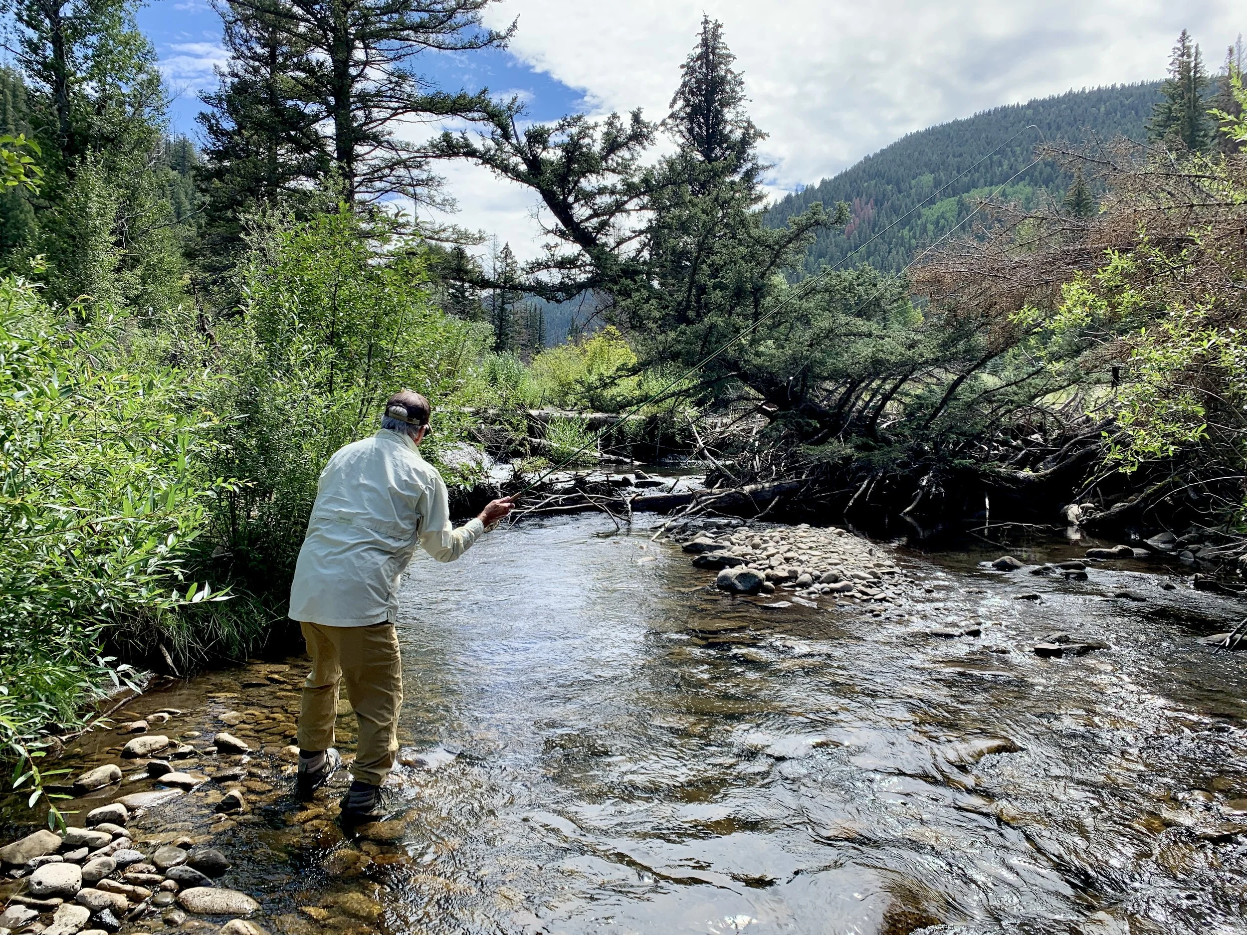 A man fishing in a river within a lush forested area with mountains in the background.