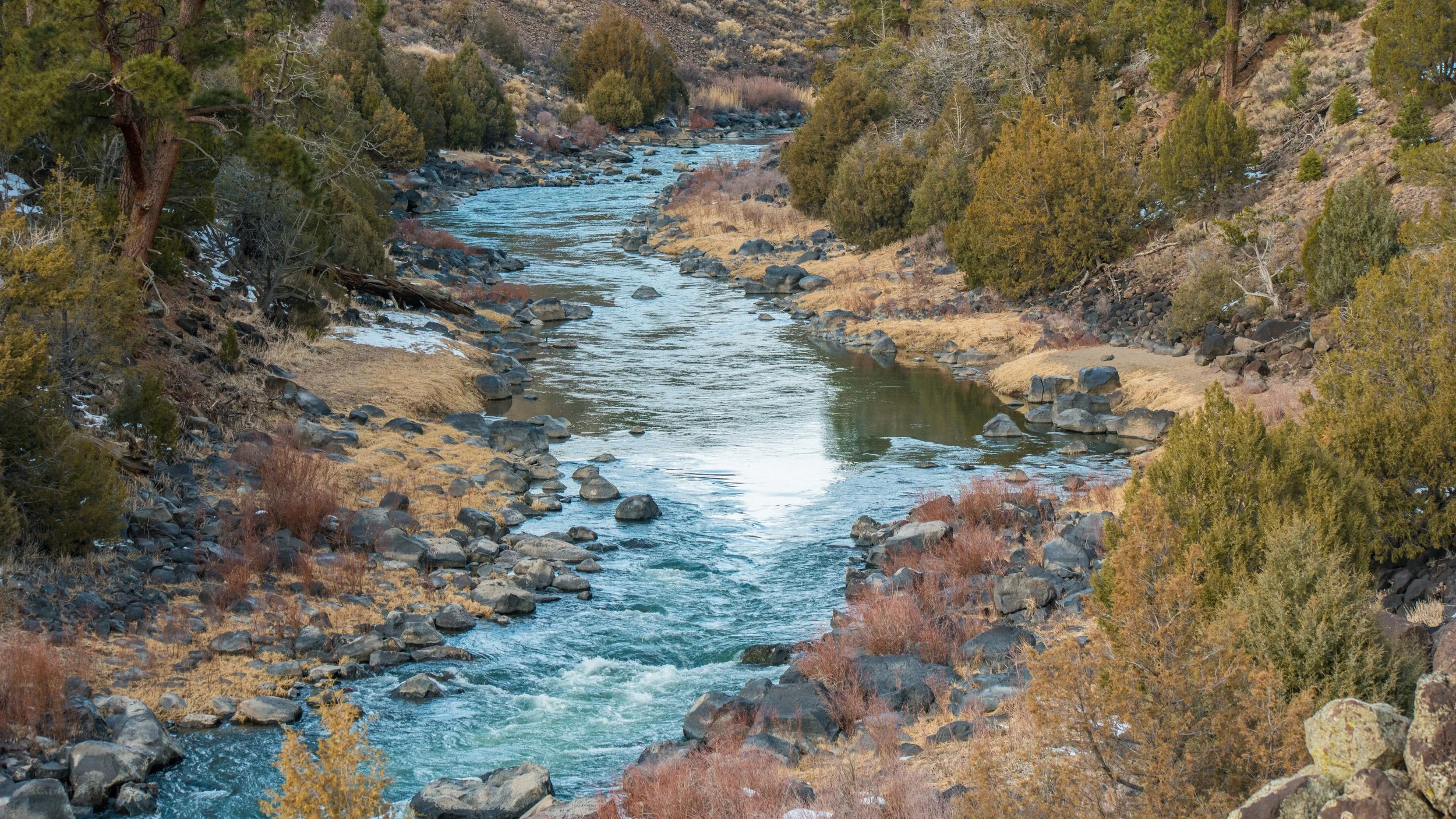 A river flowing through a mountainous landscape with rocks along the banks and evergreen trees on both sides.