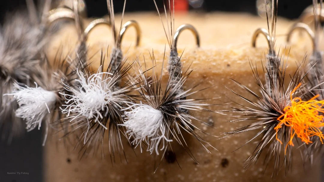 Close-up of caterpillars with spiky hair hanging on a fly fishing lure with a tan or beige background.