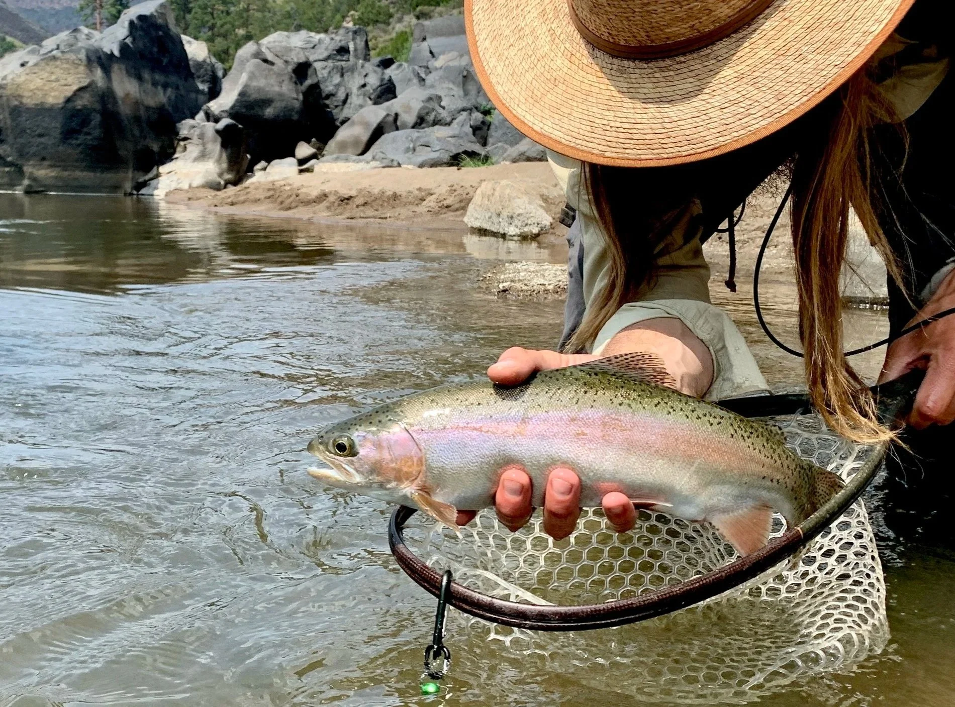 Person wearing a large straw sun hat and outdoor clothing, holding a rainbow trout in a fishing net, in a shallow river with rocks and shoreline in the background.