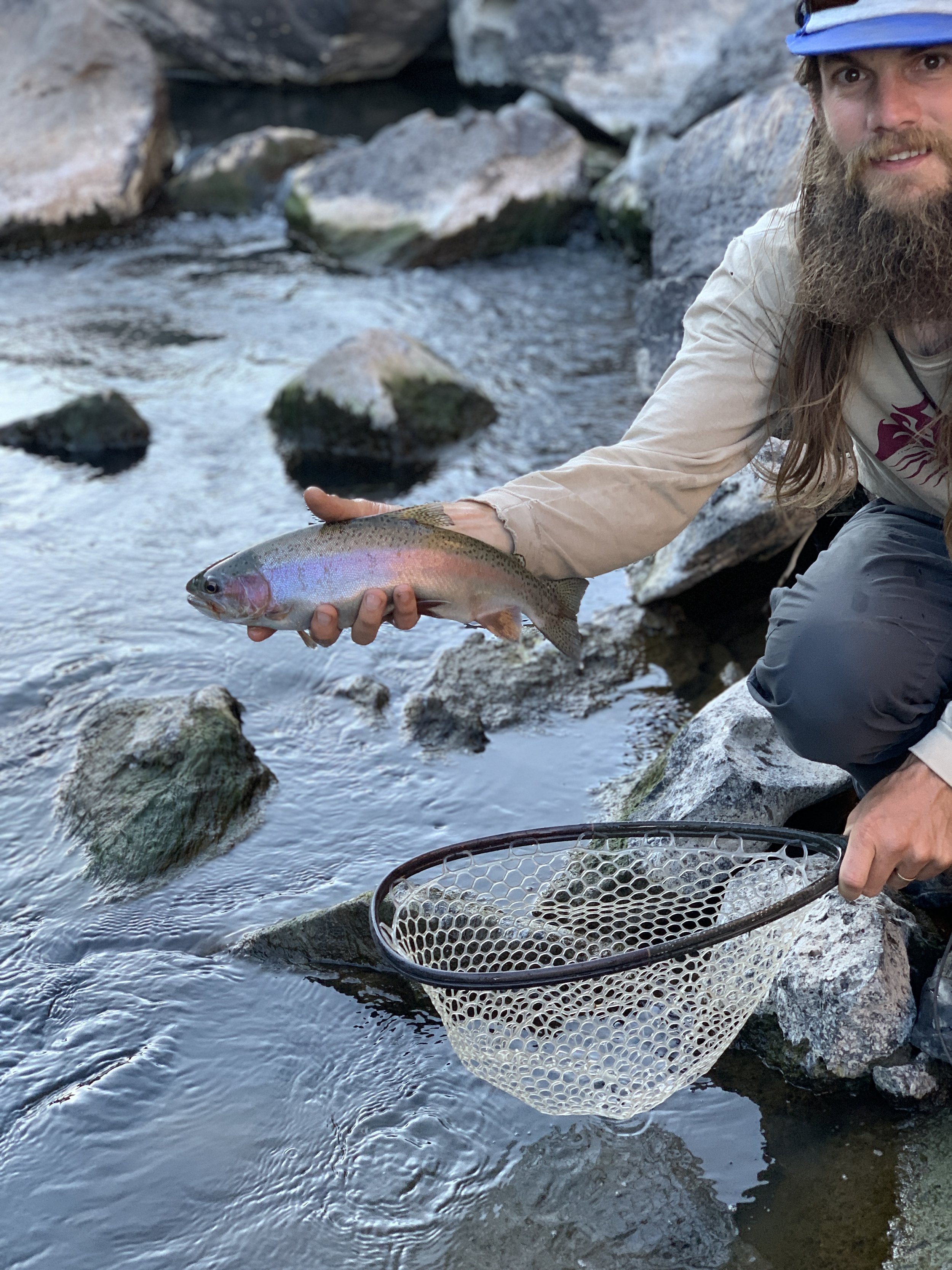 Person with long hair and beard holding a rainbow trout in a river with rocks, wearing a light-colored long-sleeve shirt and a blue helmet, holding a fishing net.