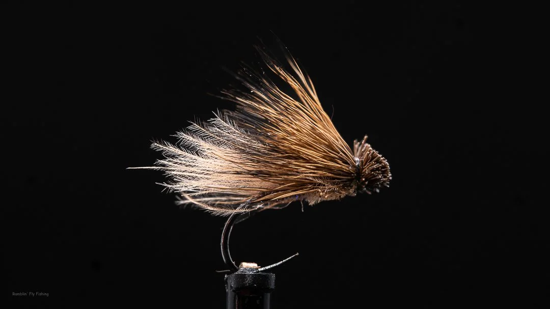 Close-up of a fishing fly with brown feathered wings on a black background.