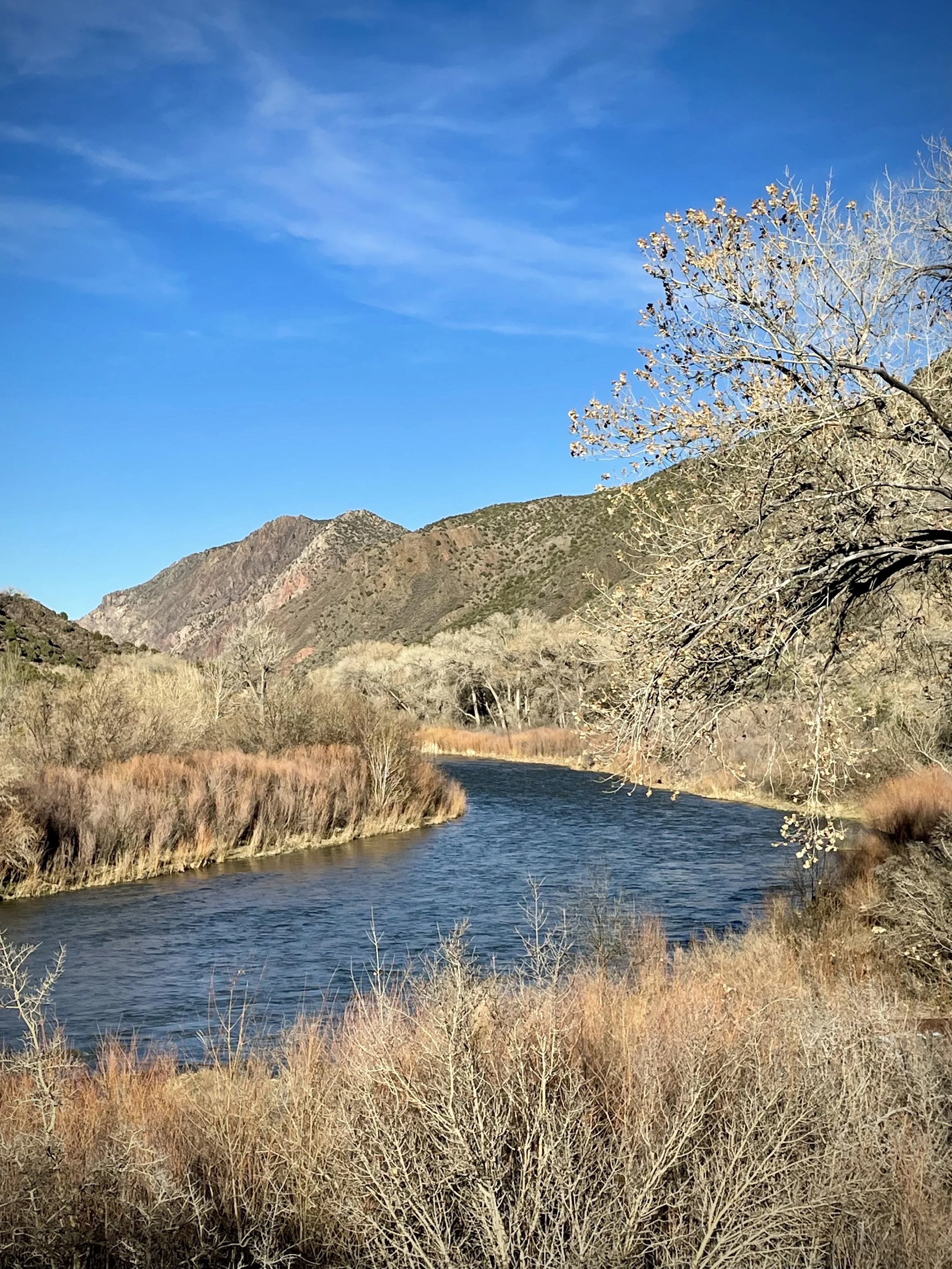 A winding river flowing through a landscape with leafless trees and dry grasses, with mountains in the background under a bright blue sky.