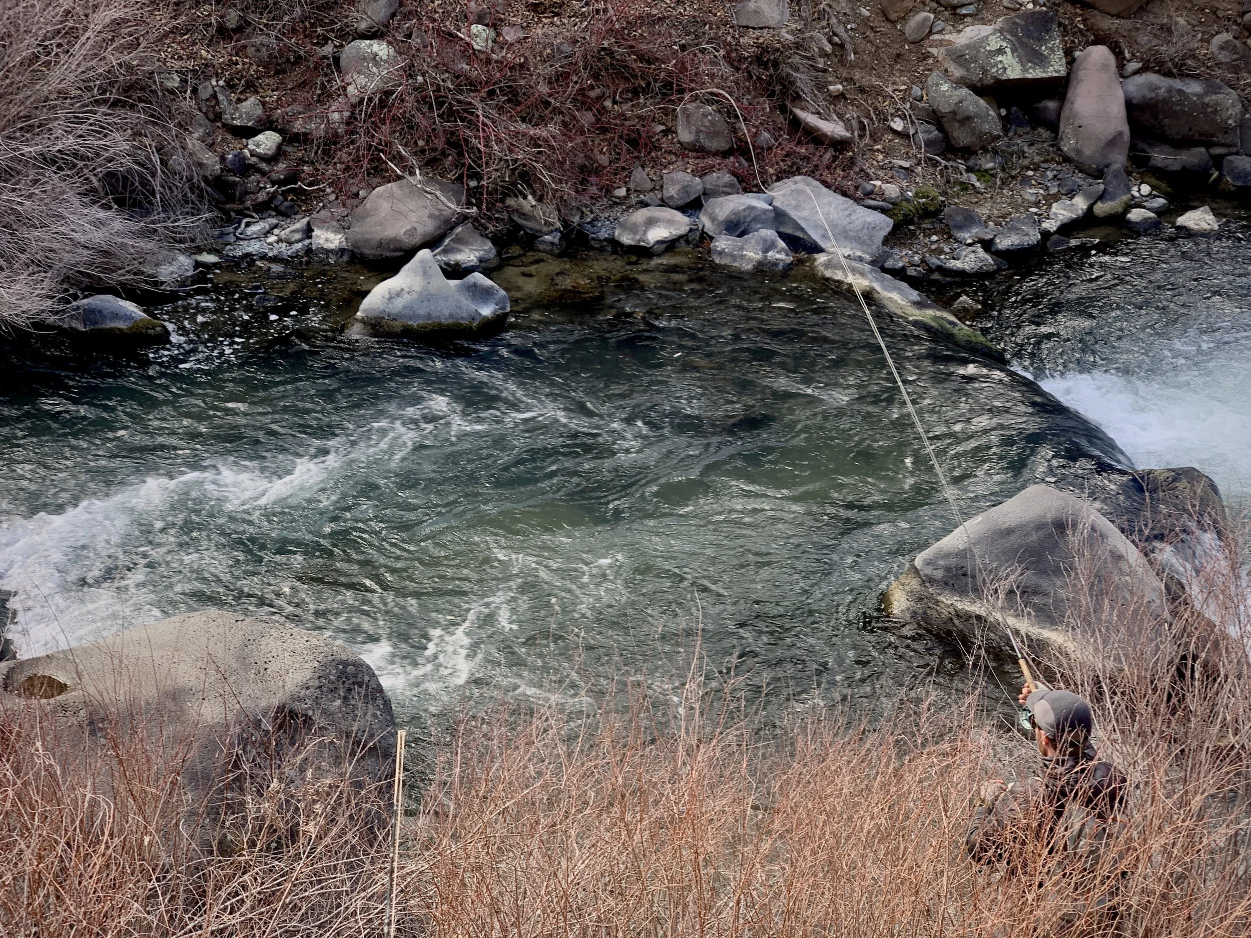 Person fishing in a stream surrounded by rocks and dry bushes.
