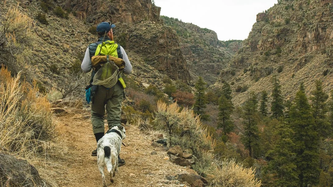 Hiker walking with a dog on a trail through a canyon.