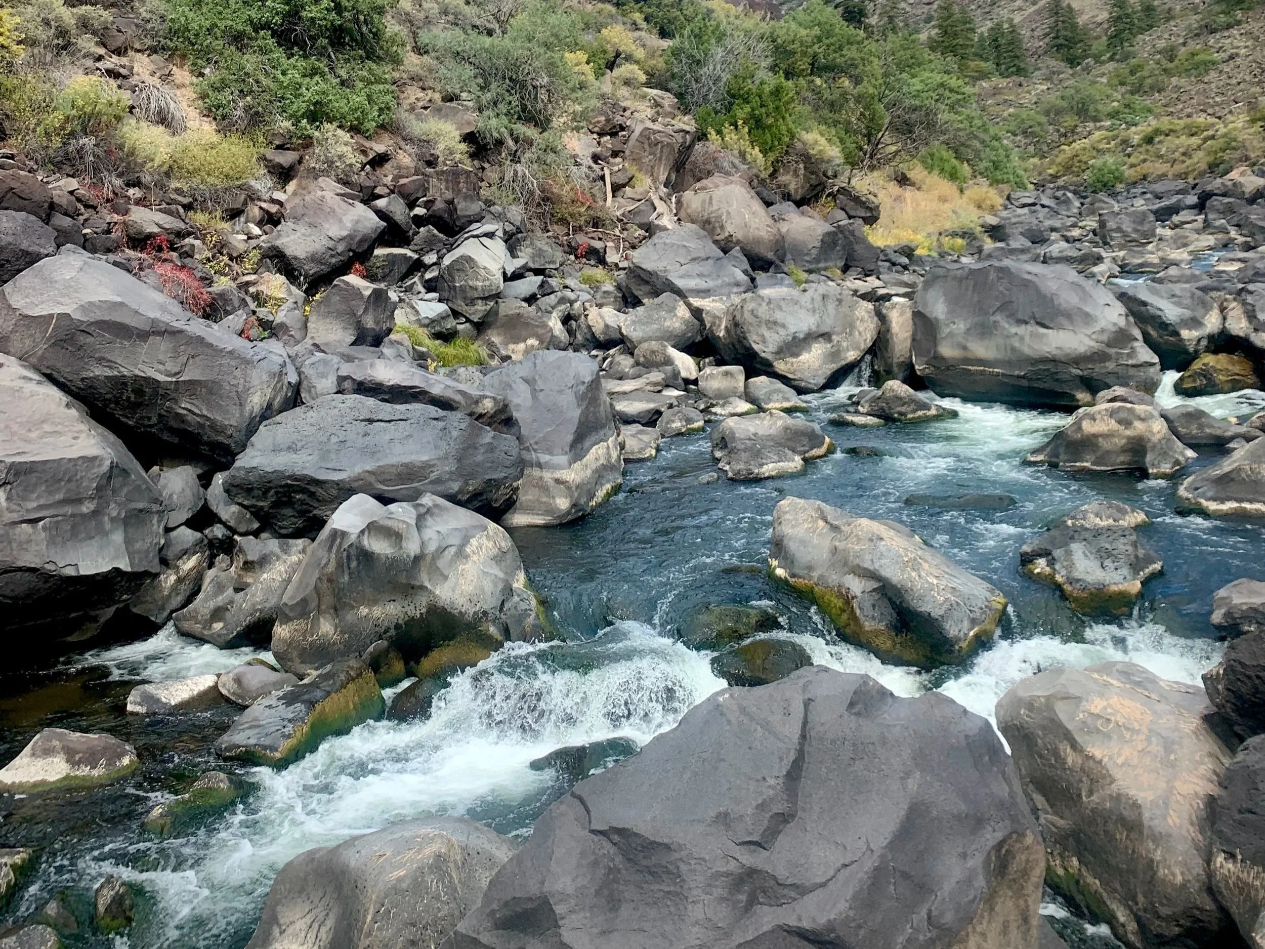 A rocky mountain river with rushing water flowing over and around large dark gray boulders, surrounded by green vegetation and trees in the background.
