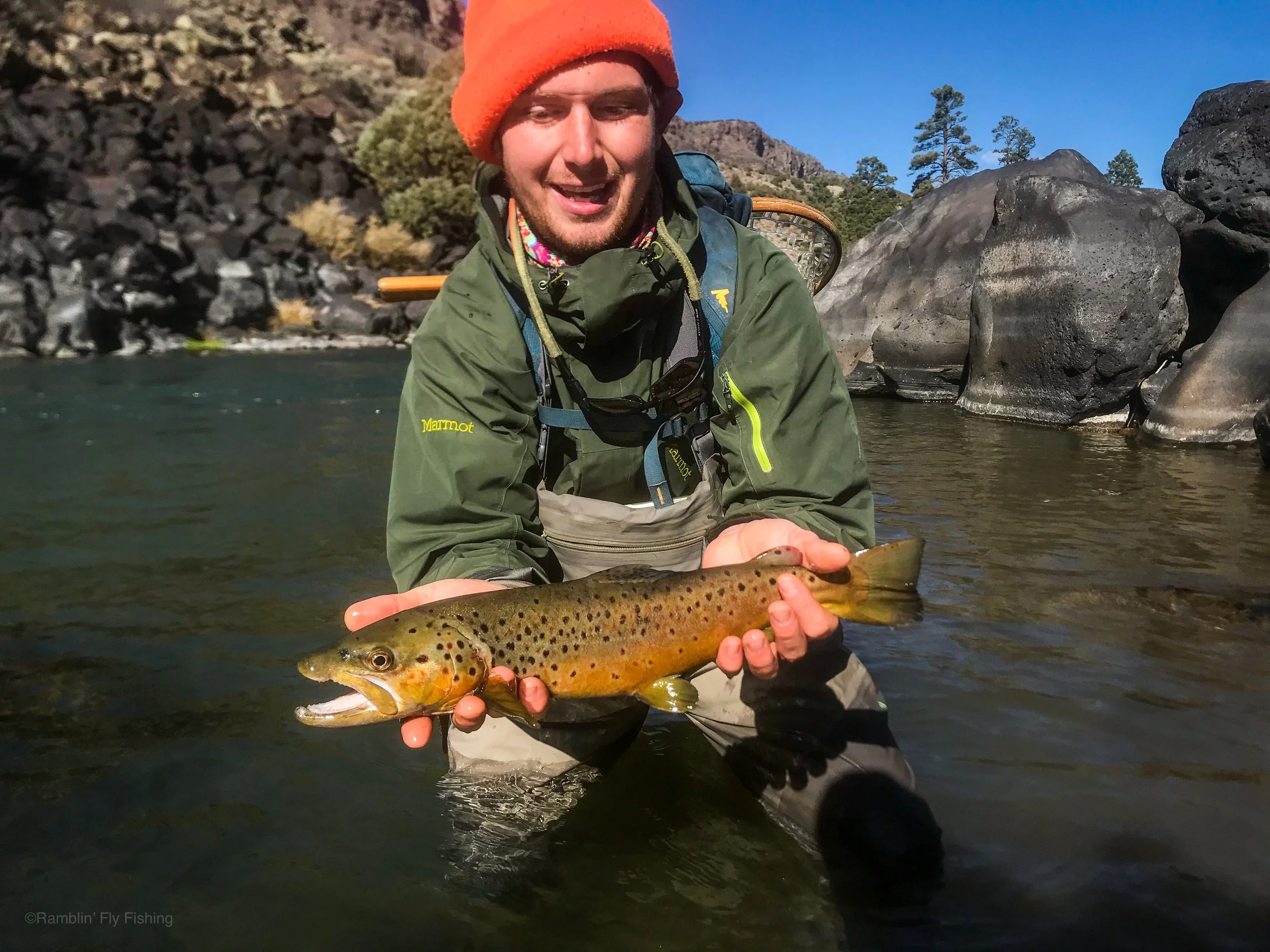 A man wearing outdoor gear and an orange beanie kneeling in a river, holding a brown and yellow fish with black spots.